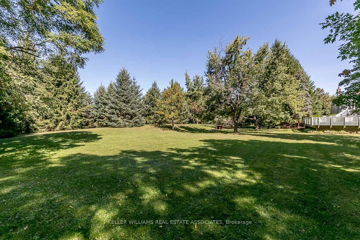 8 Hilltop Crescent Property Photo 34