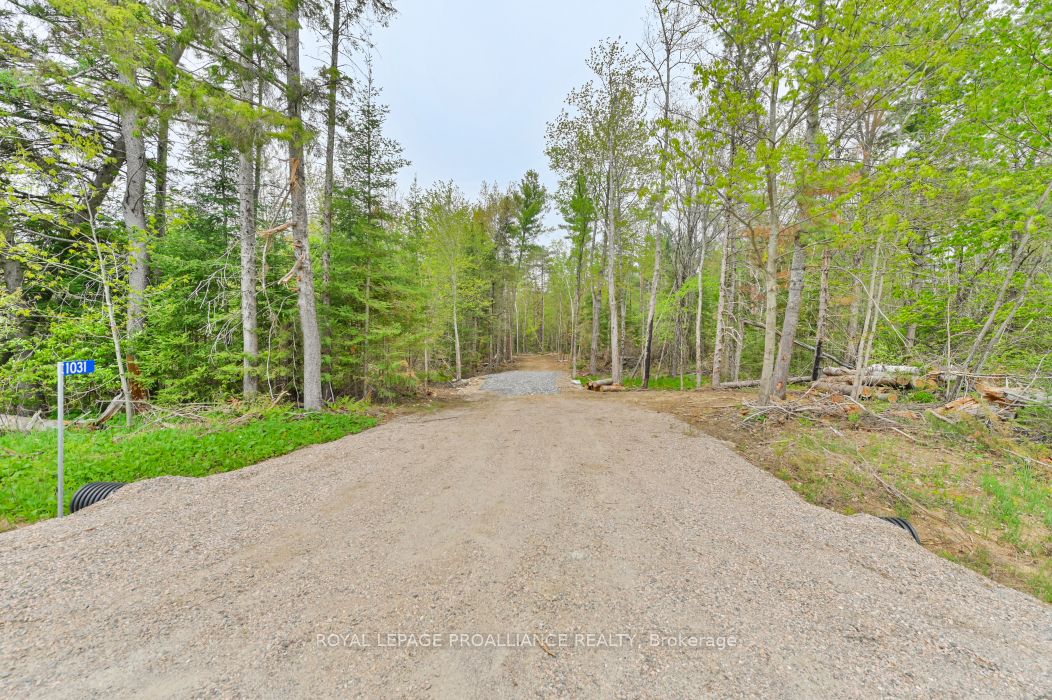 1031 Road 506 Property Photo