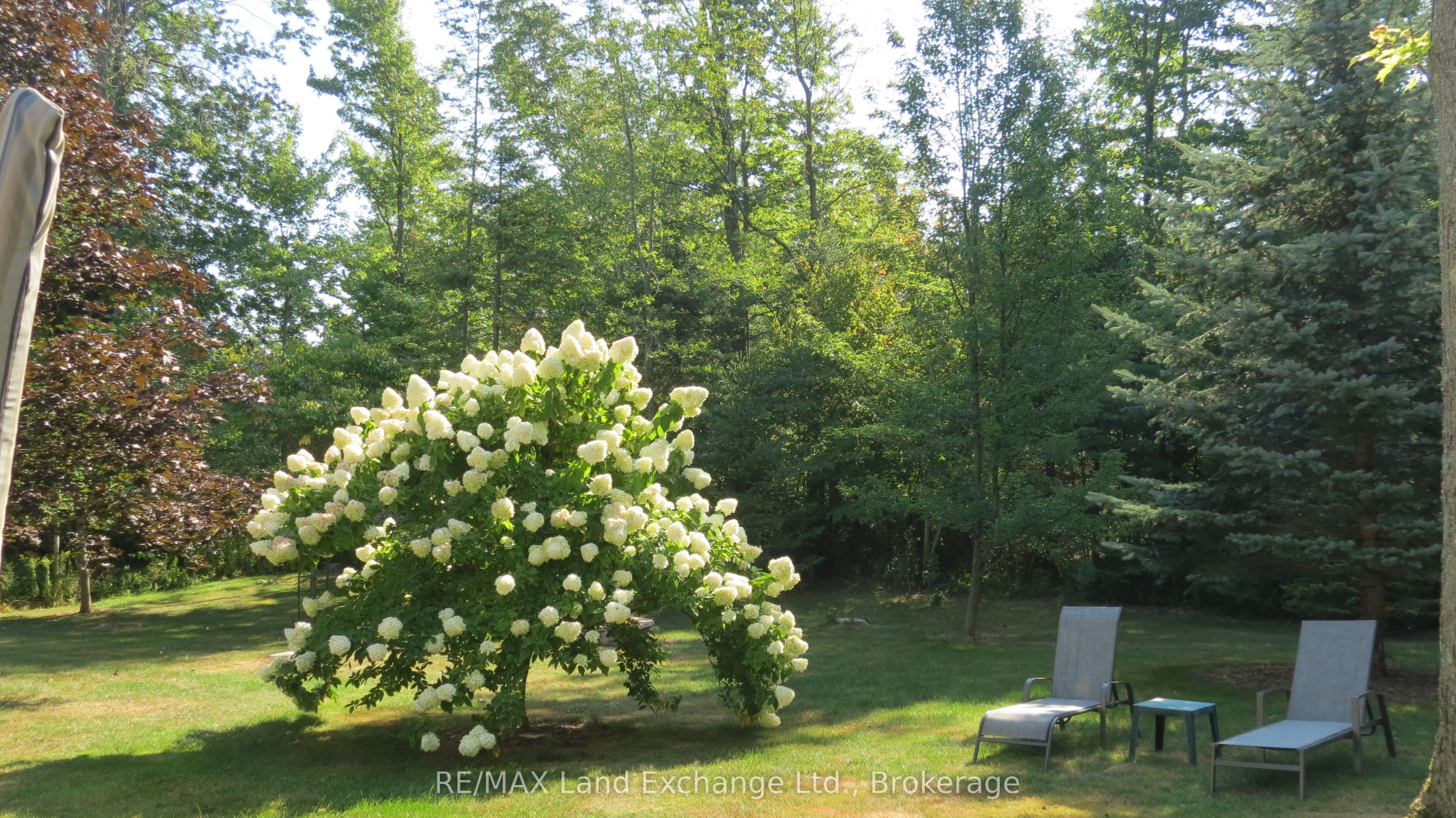 282 Huron Road Property Photo 20