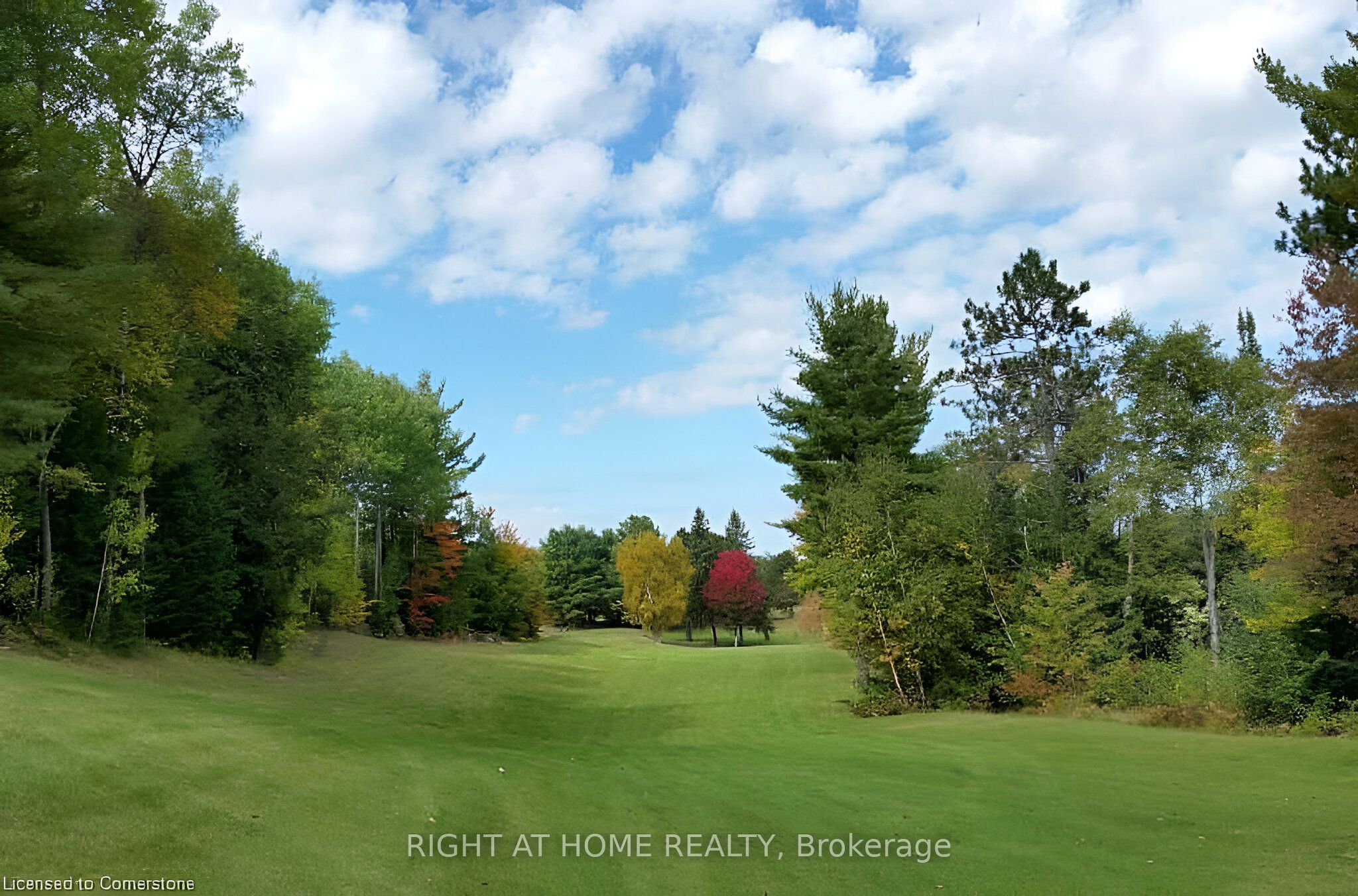 2937 Old Barrys Bay Road Property Photo 16