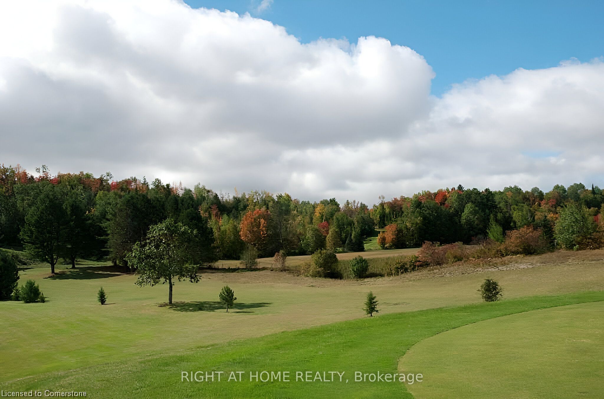 2937 Old Barrys Bay Road Property Photo 19