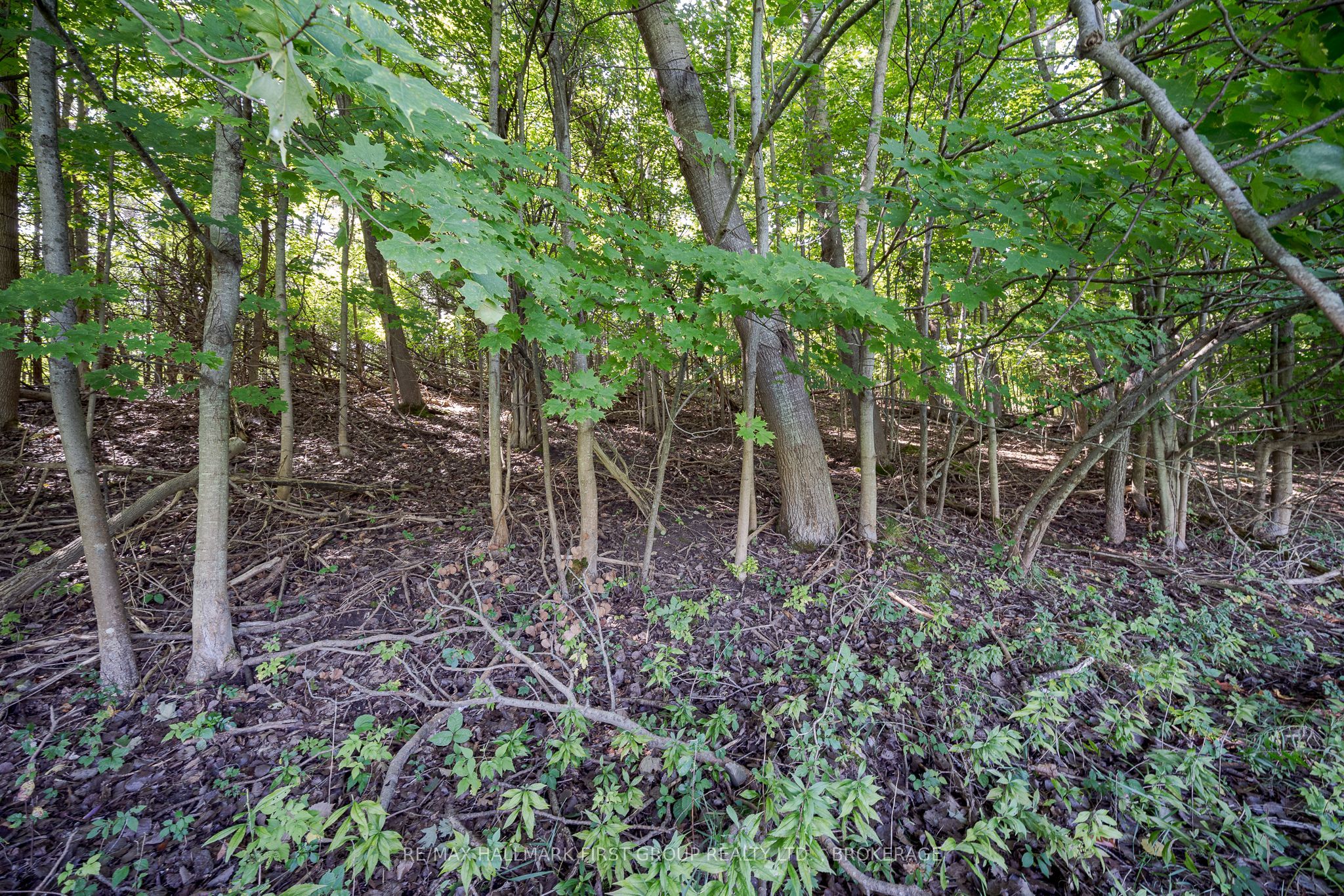 2018 County Road 9 Road Property Photo 34