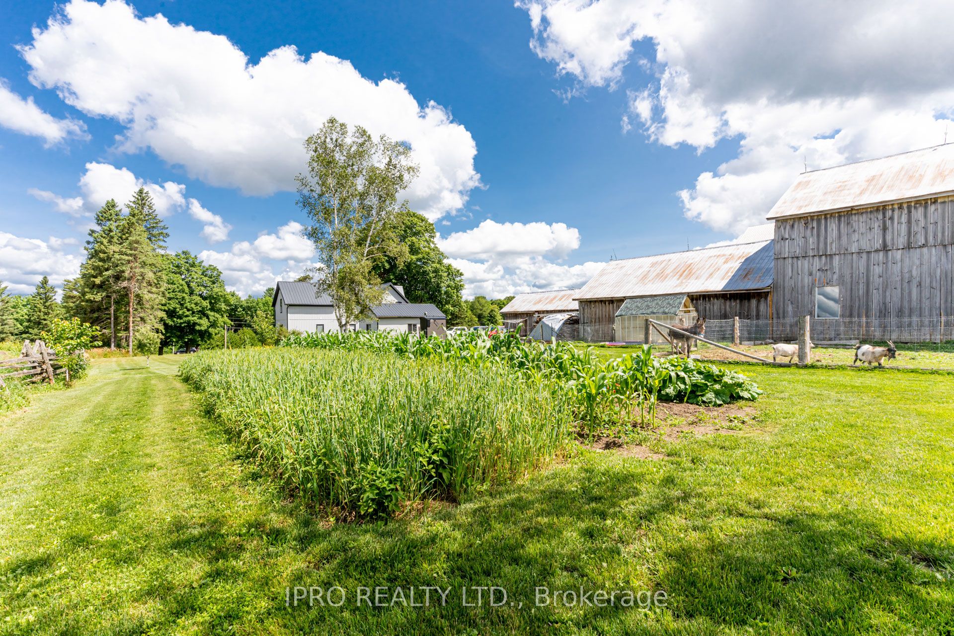 403428 Grey Rd 4 Road Property Photo 25