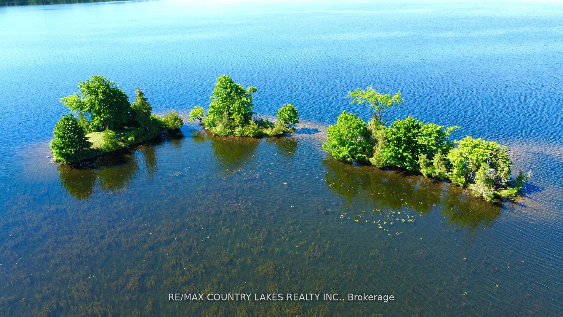 Lt 1 Island Property Photo