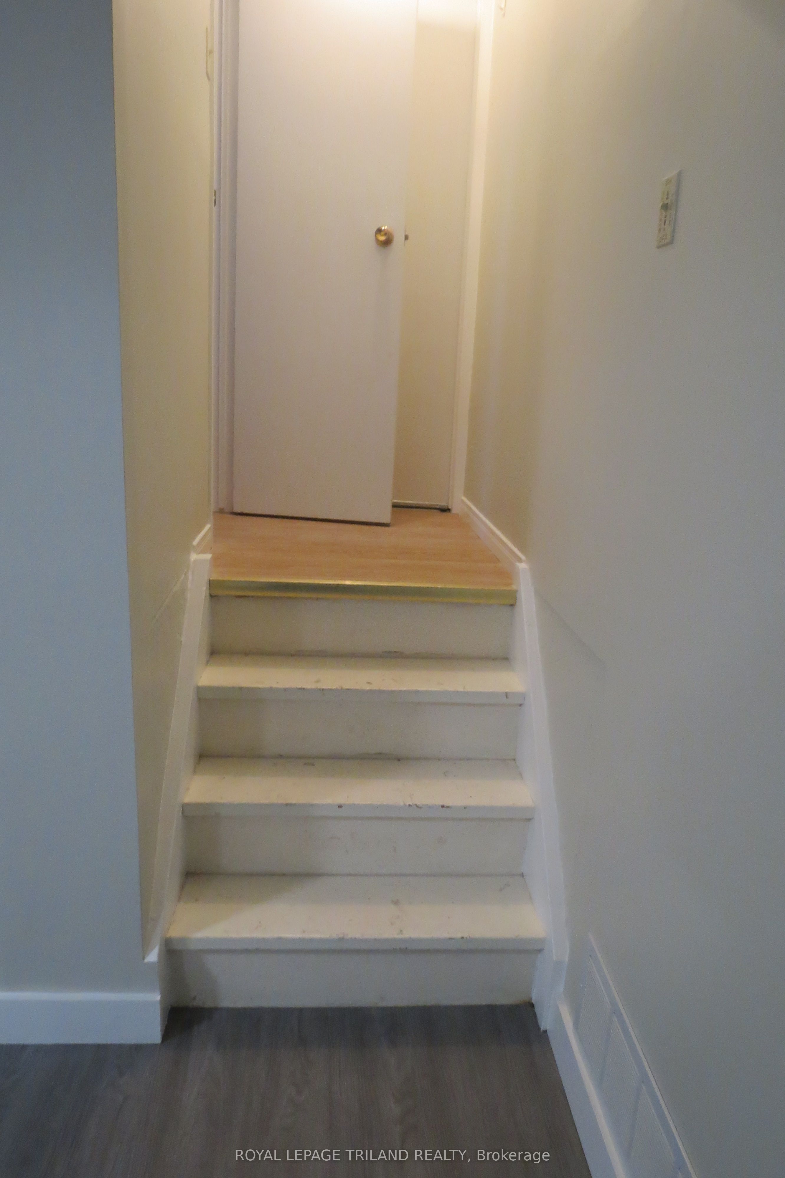 76 Ardsley Road Lower Property Photo 3