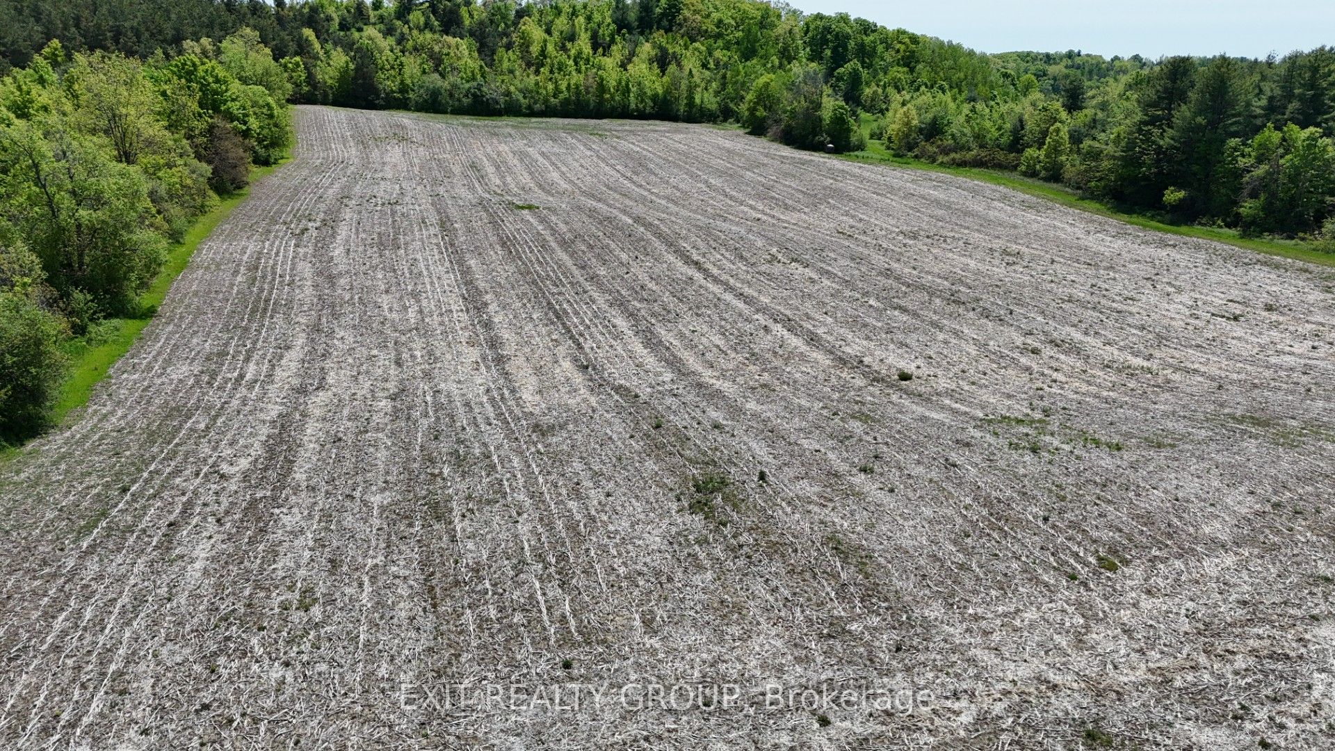 225 Jones Road Property Photo 19