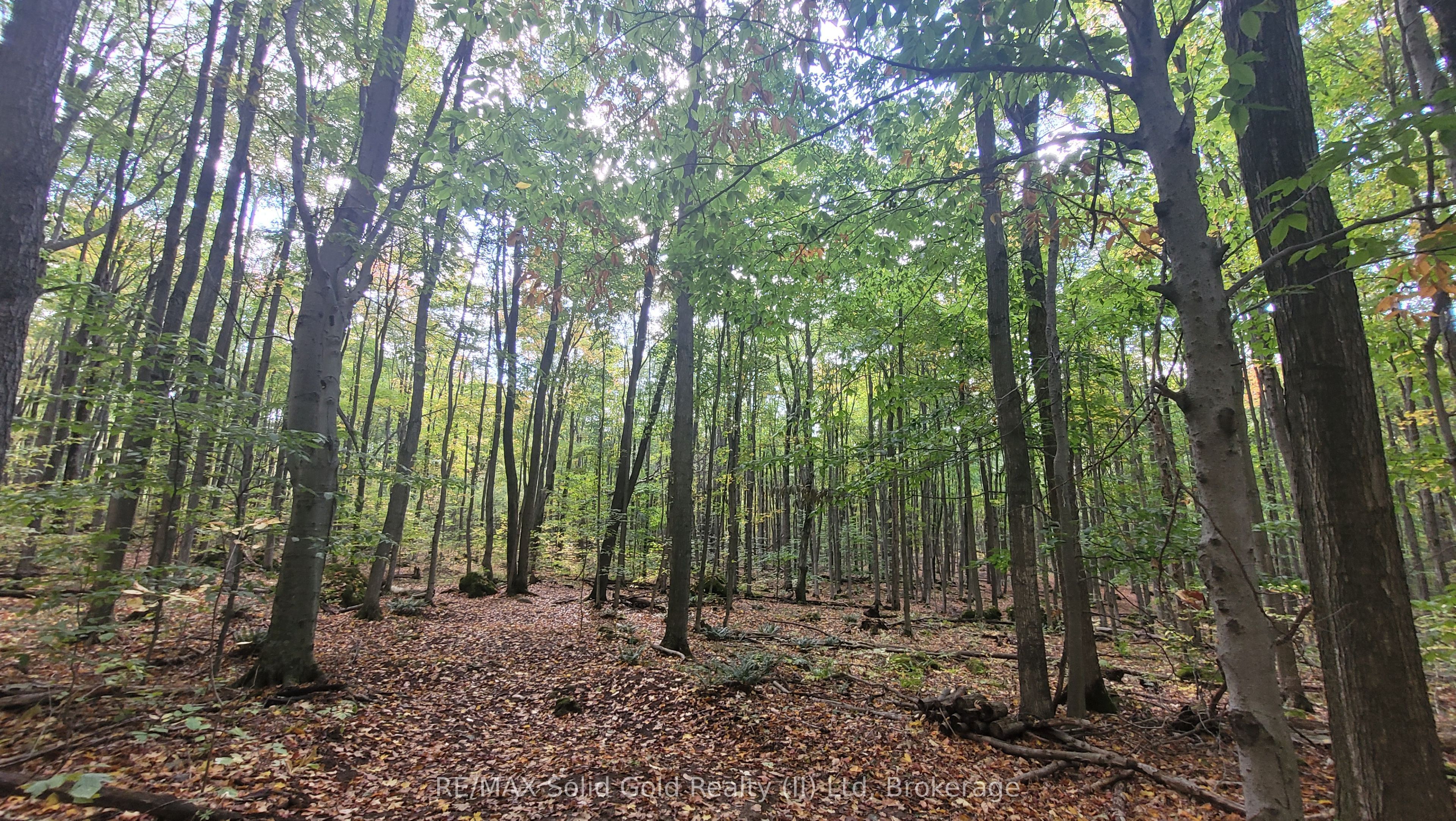 576799 Concession 9 Concession Property Photo 24