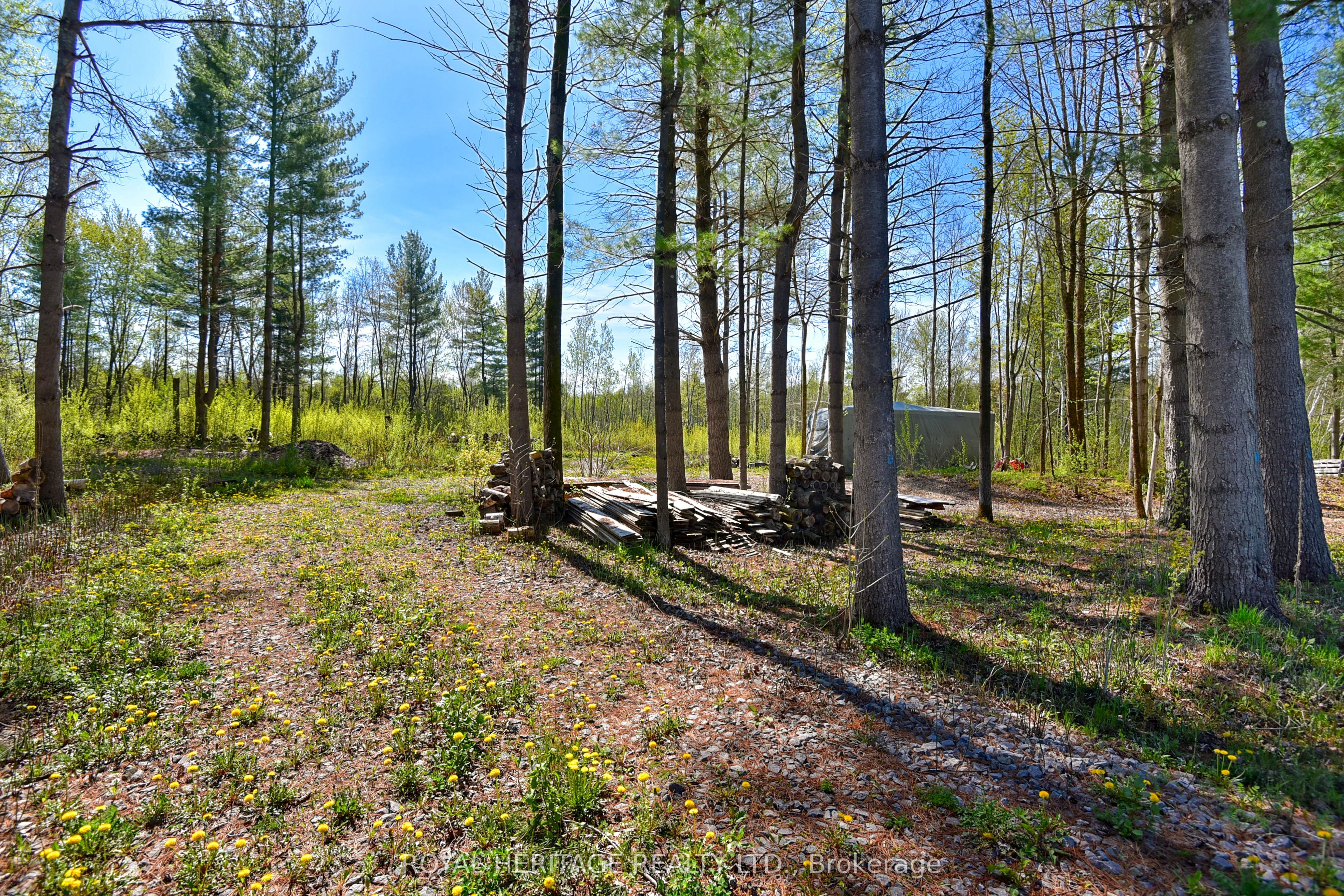 2449 Rooney Road E Property Photo 6