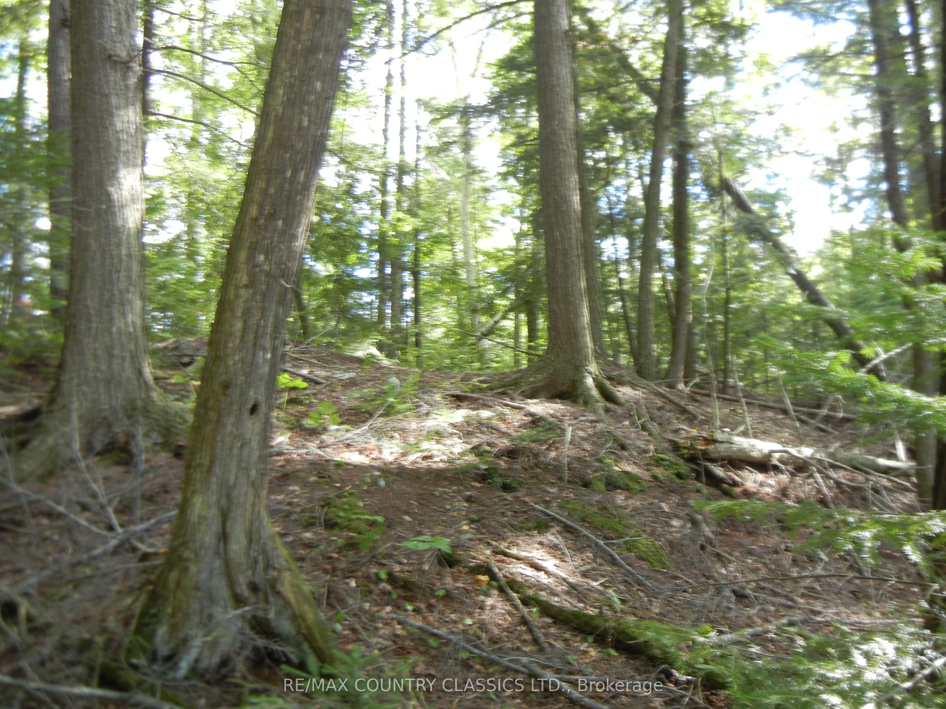 0 Glen Alda Road Property Photo