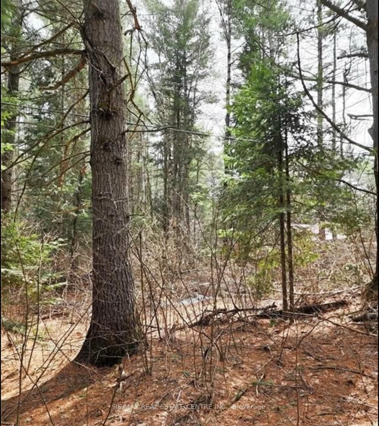 107 Balsam Chutes Road Property Photo