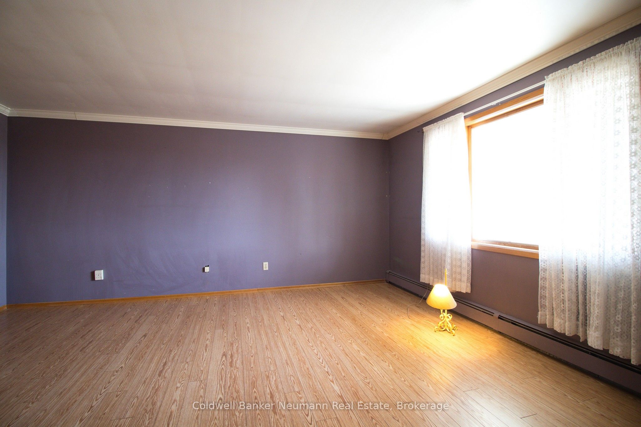 29284 Jane Road Property Photo 20