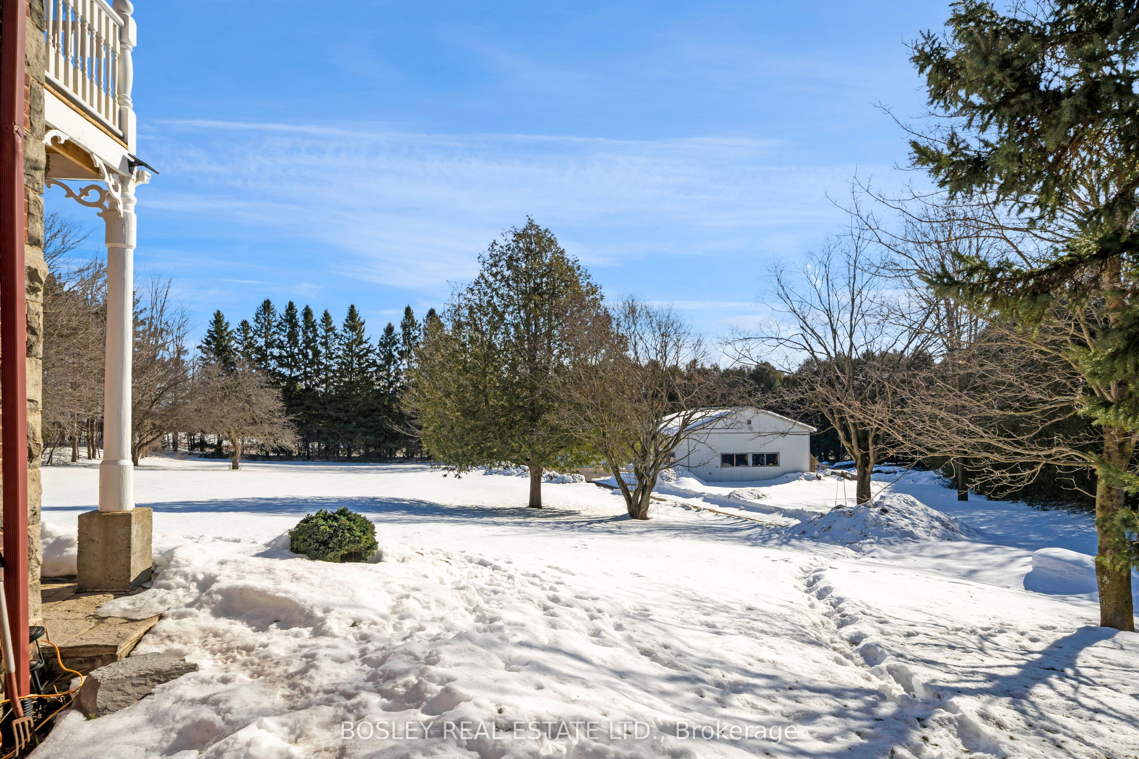 34 Mckibbon Avenue Property Photo 46