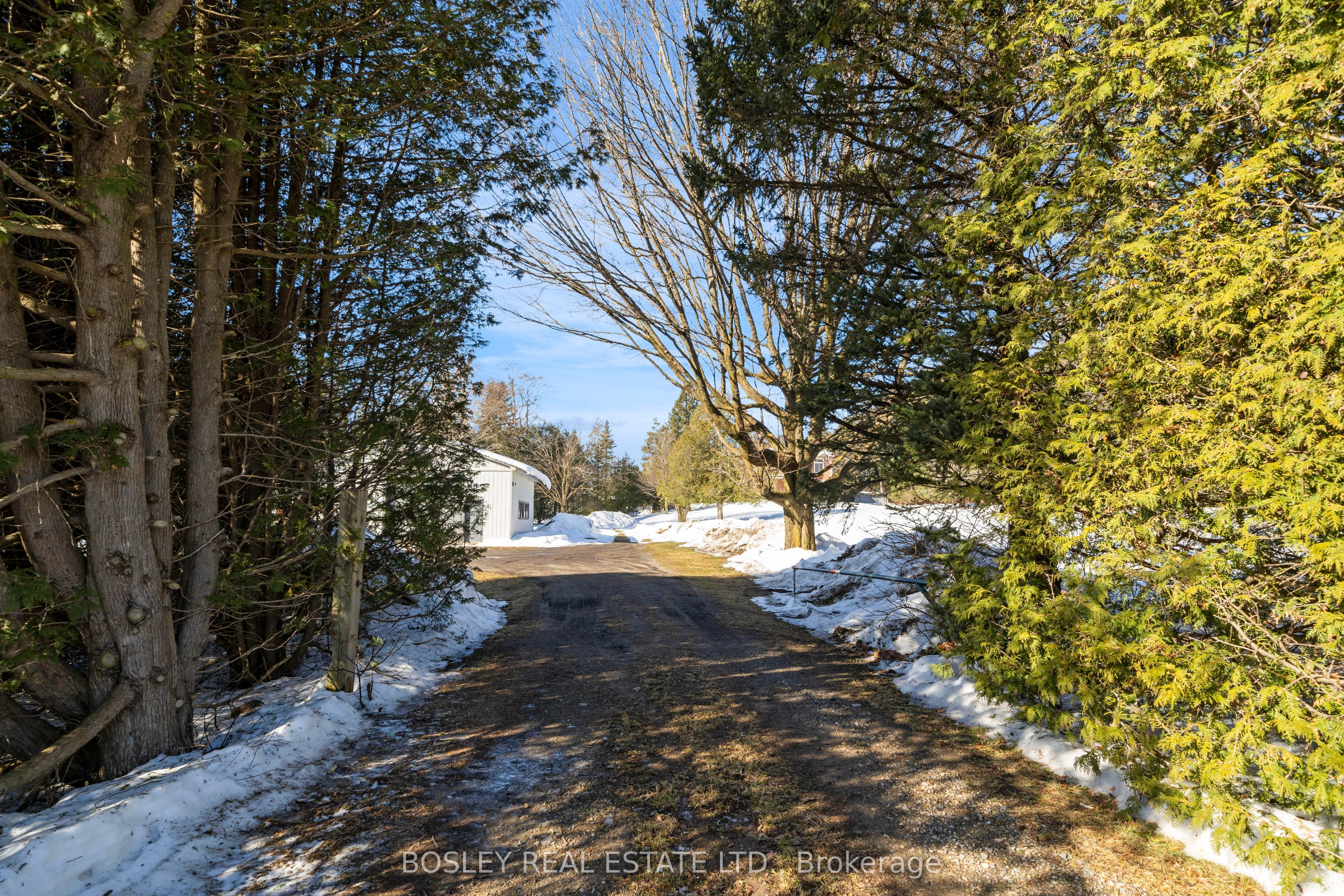 34 Mckibbon Avenue Property Photo 48