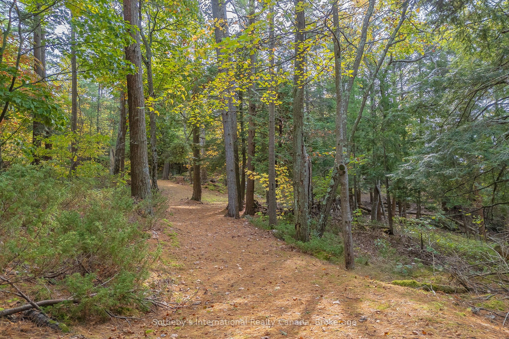 22418 Georgian Bay Shore N/a Property Photo 35