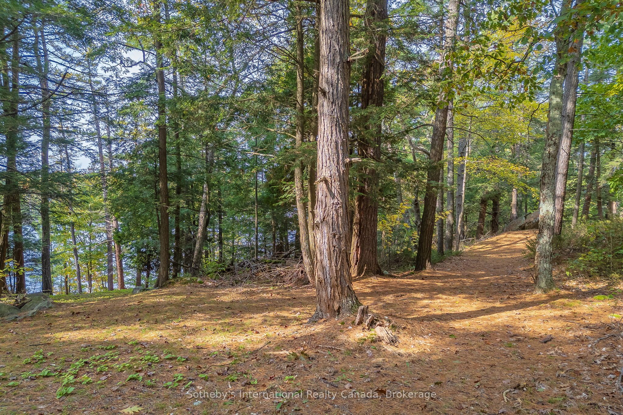 22418 Georgian Bay Shore N/a Property Photo 36