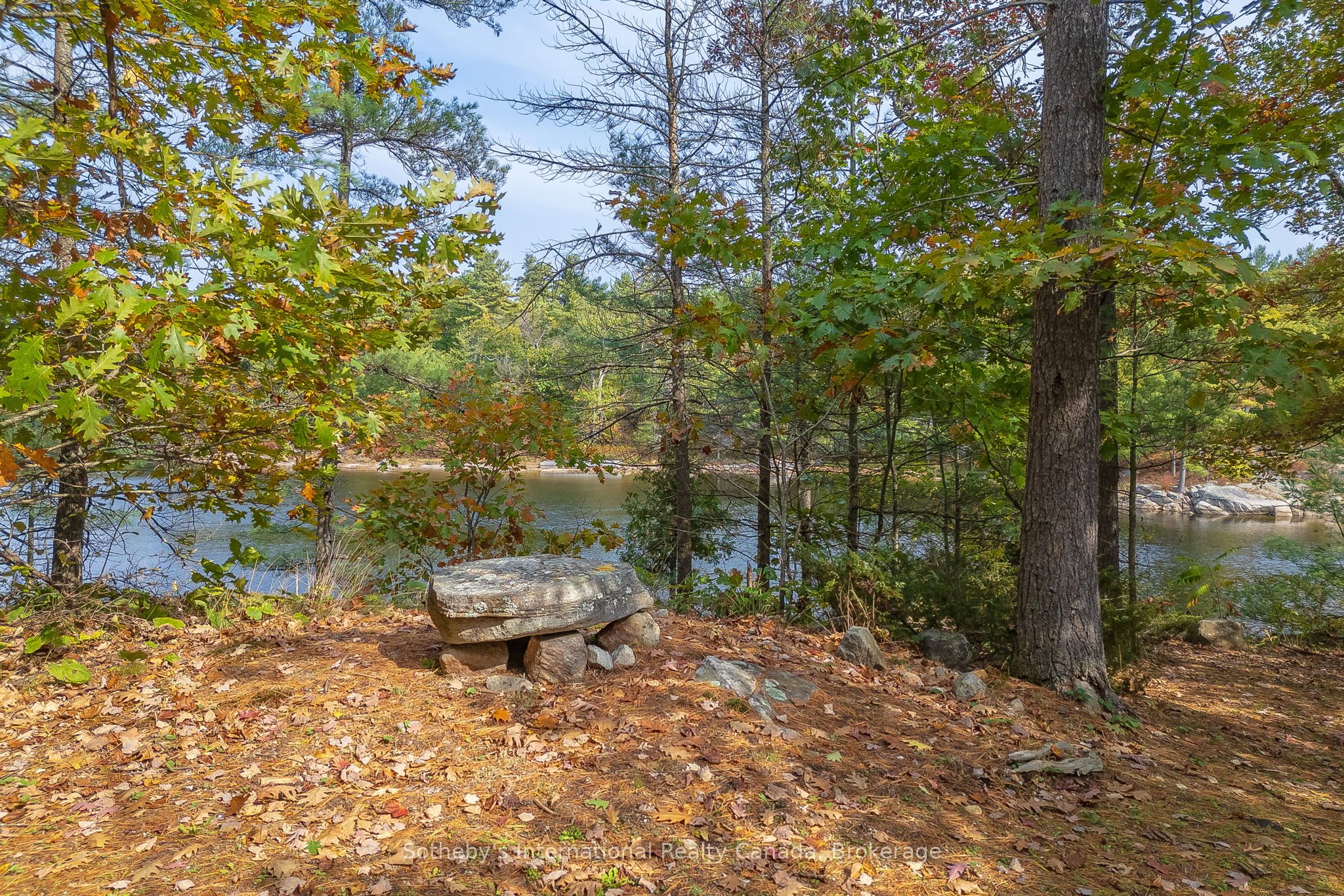 22418 Georgian Bay Shore N/a Property Photo 38