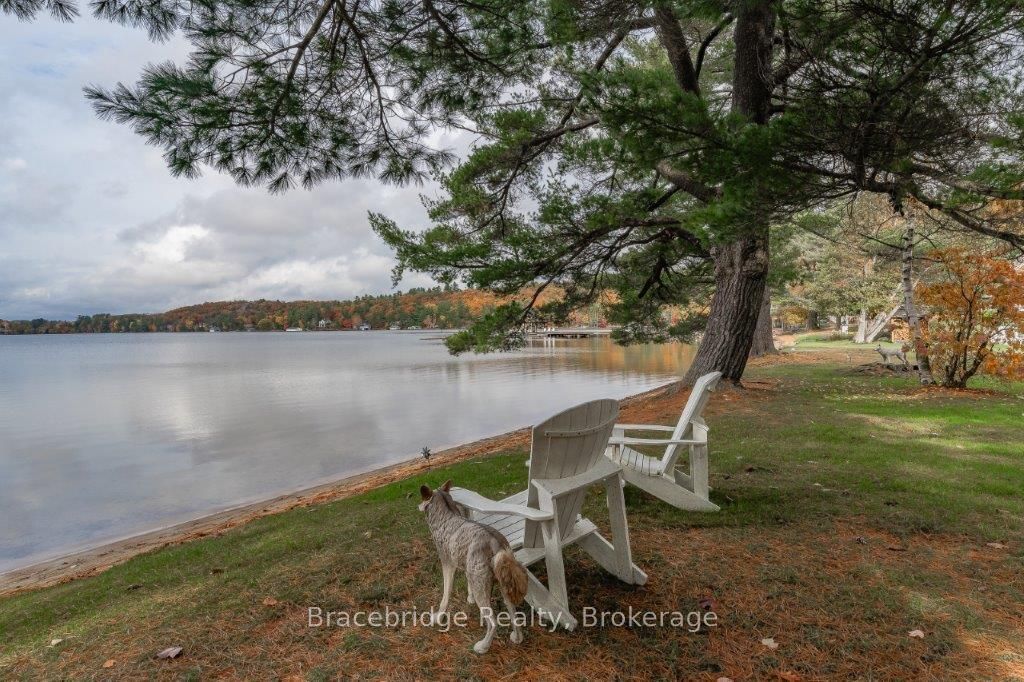 3876 Muskoka Rd Hwy 118 N/a W Sandfield 9 W9 Property Photo 34