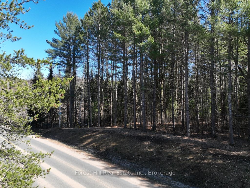 0 Kushog Lake Road Property Photo