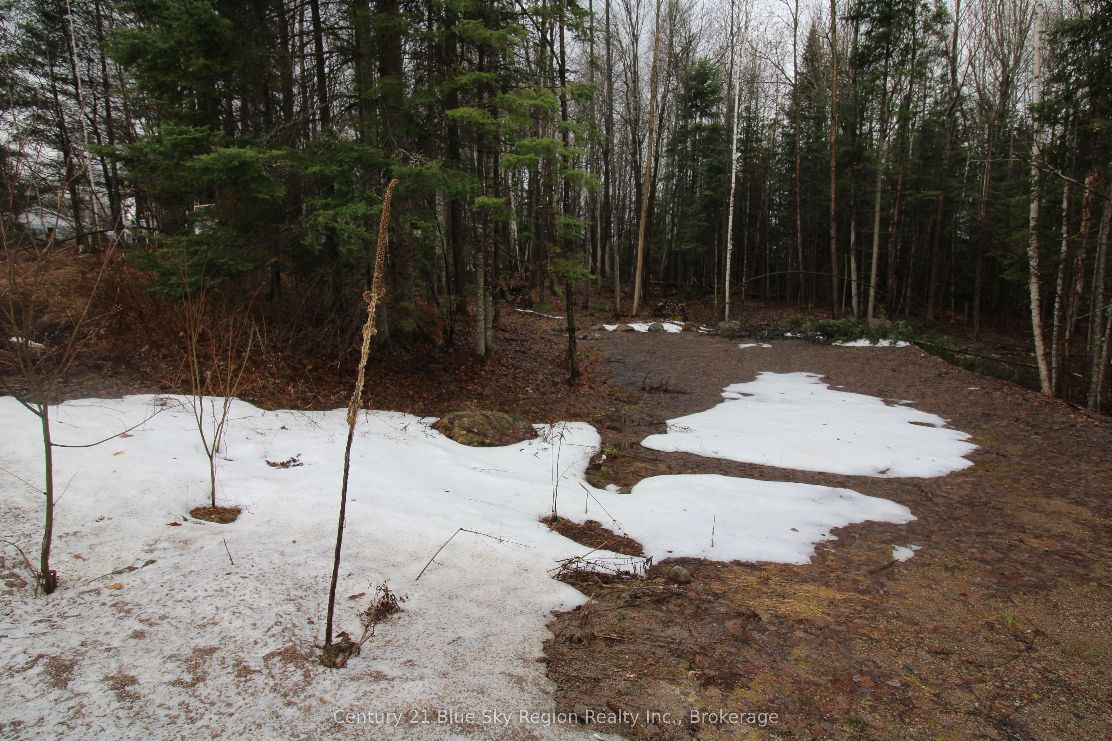 Lot 40 Greenwood Drive Property Photo