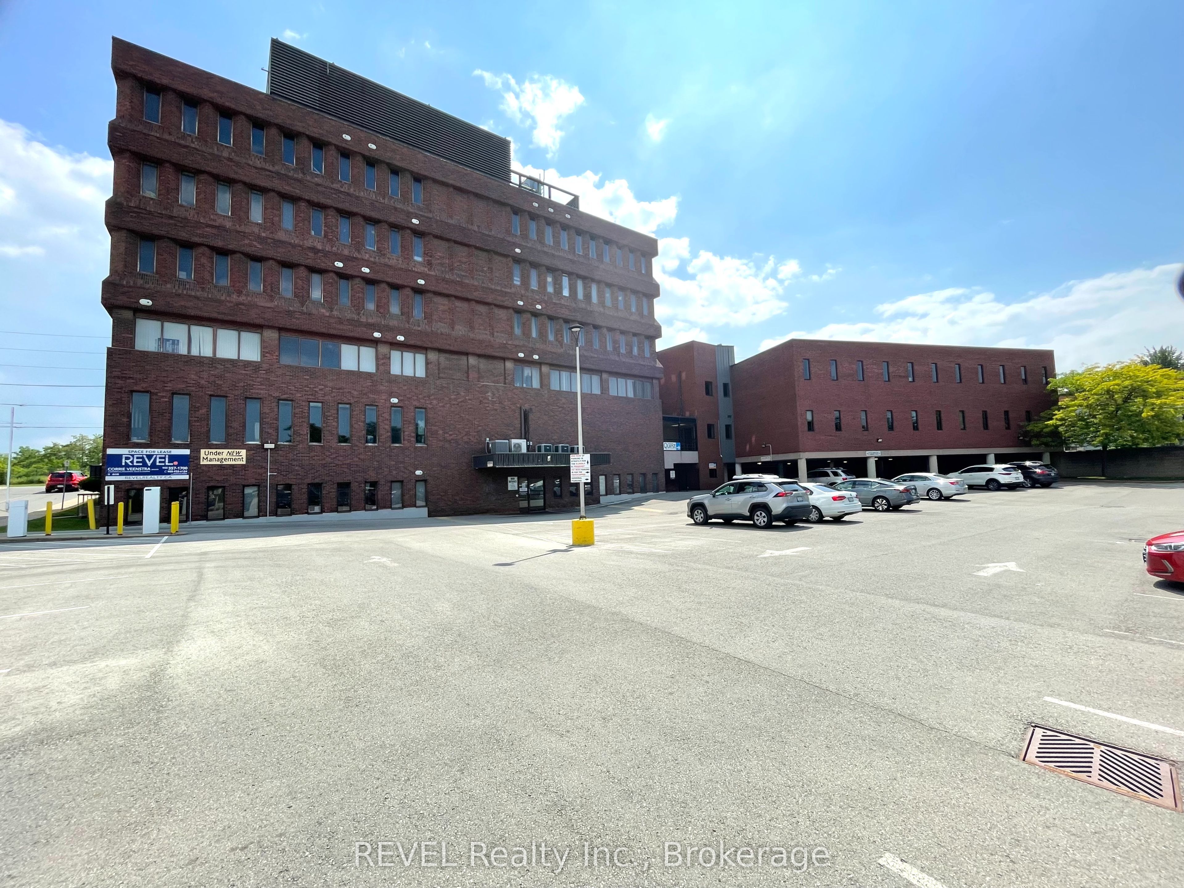 145 Queenston Street Property Photo 7