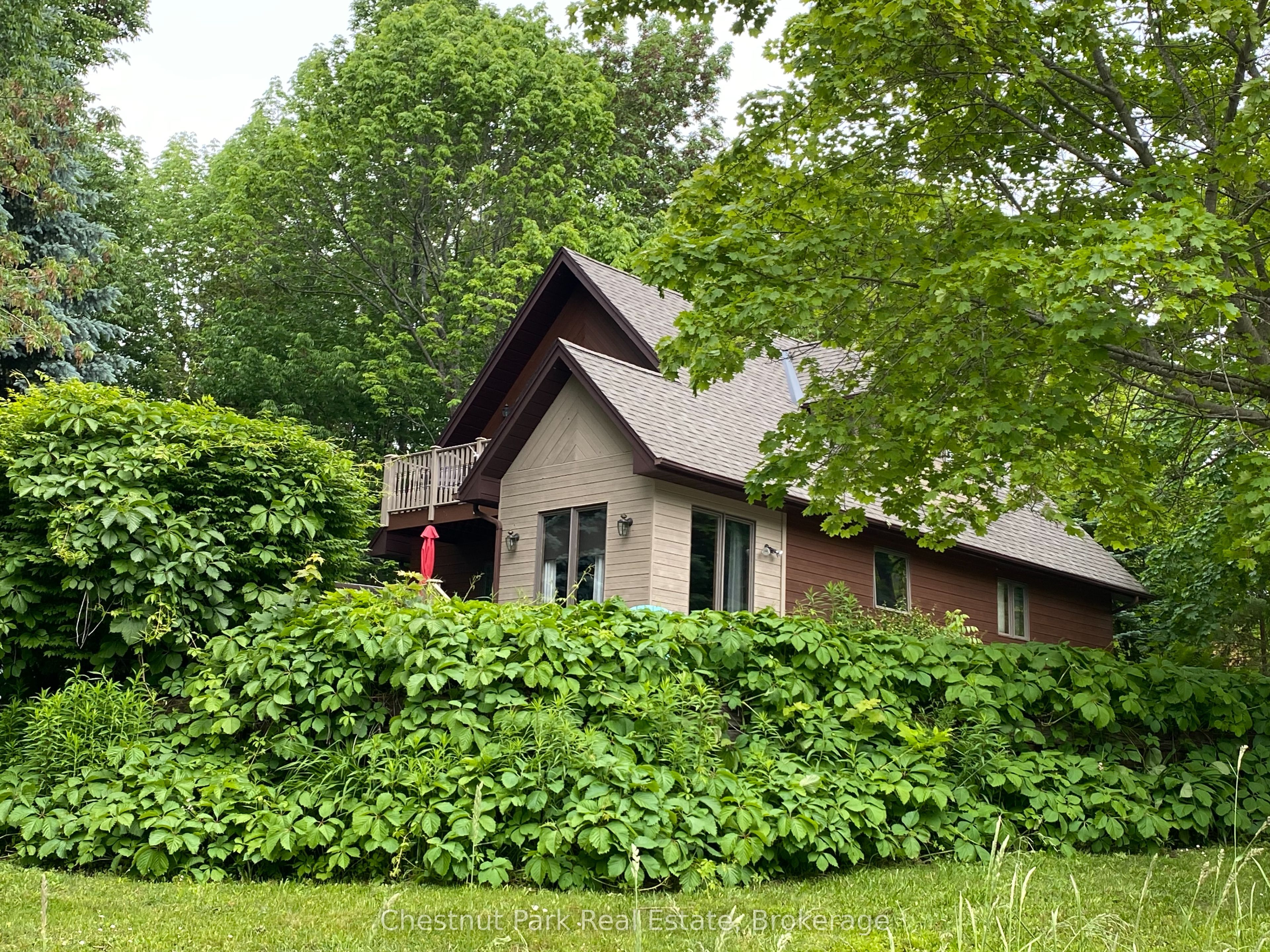145 Scott Street Property Photo