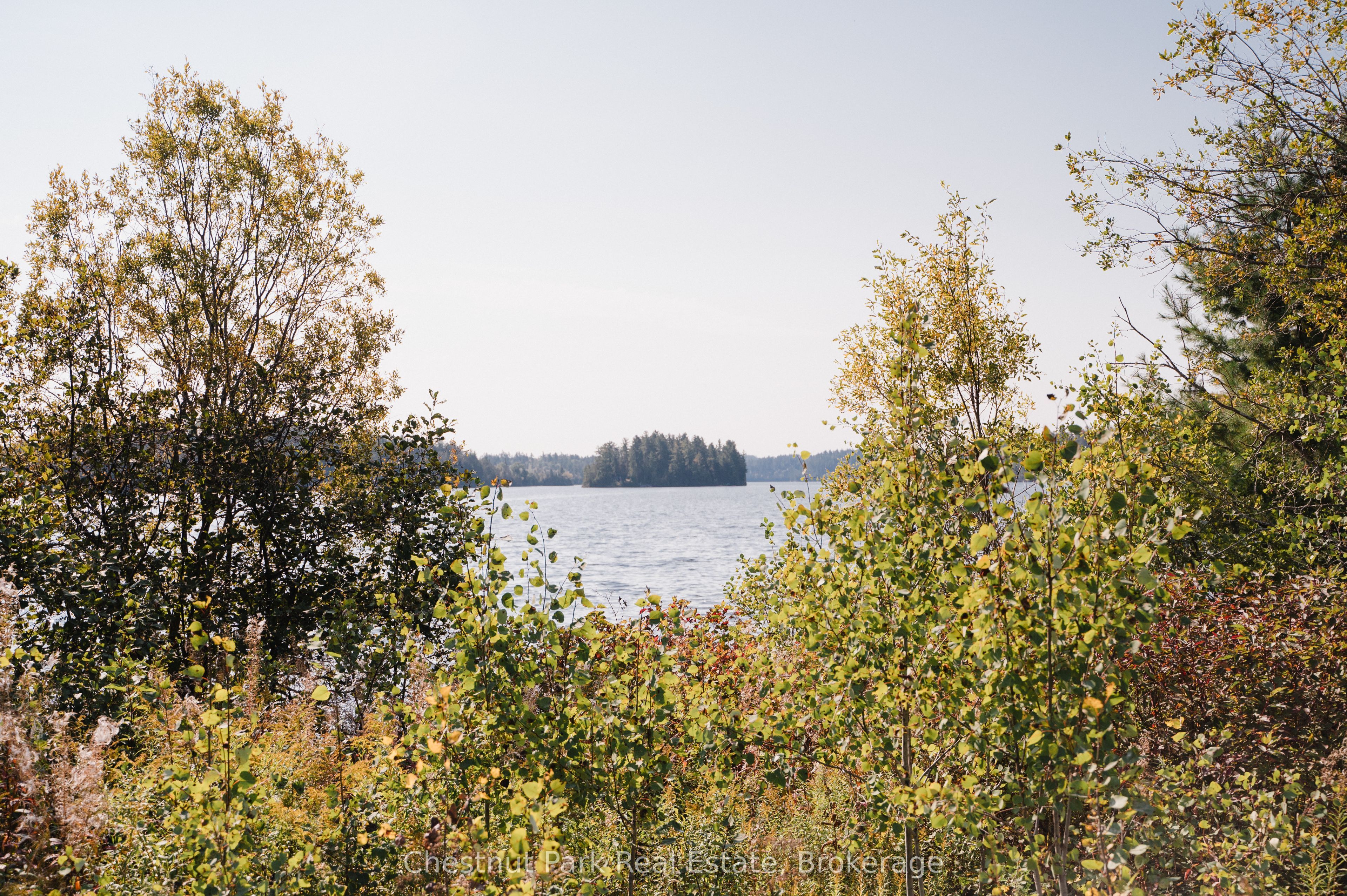 30 White Bear Court Property Photo