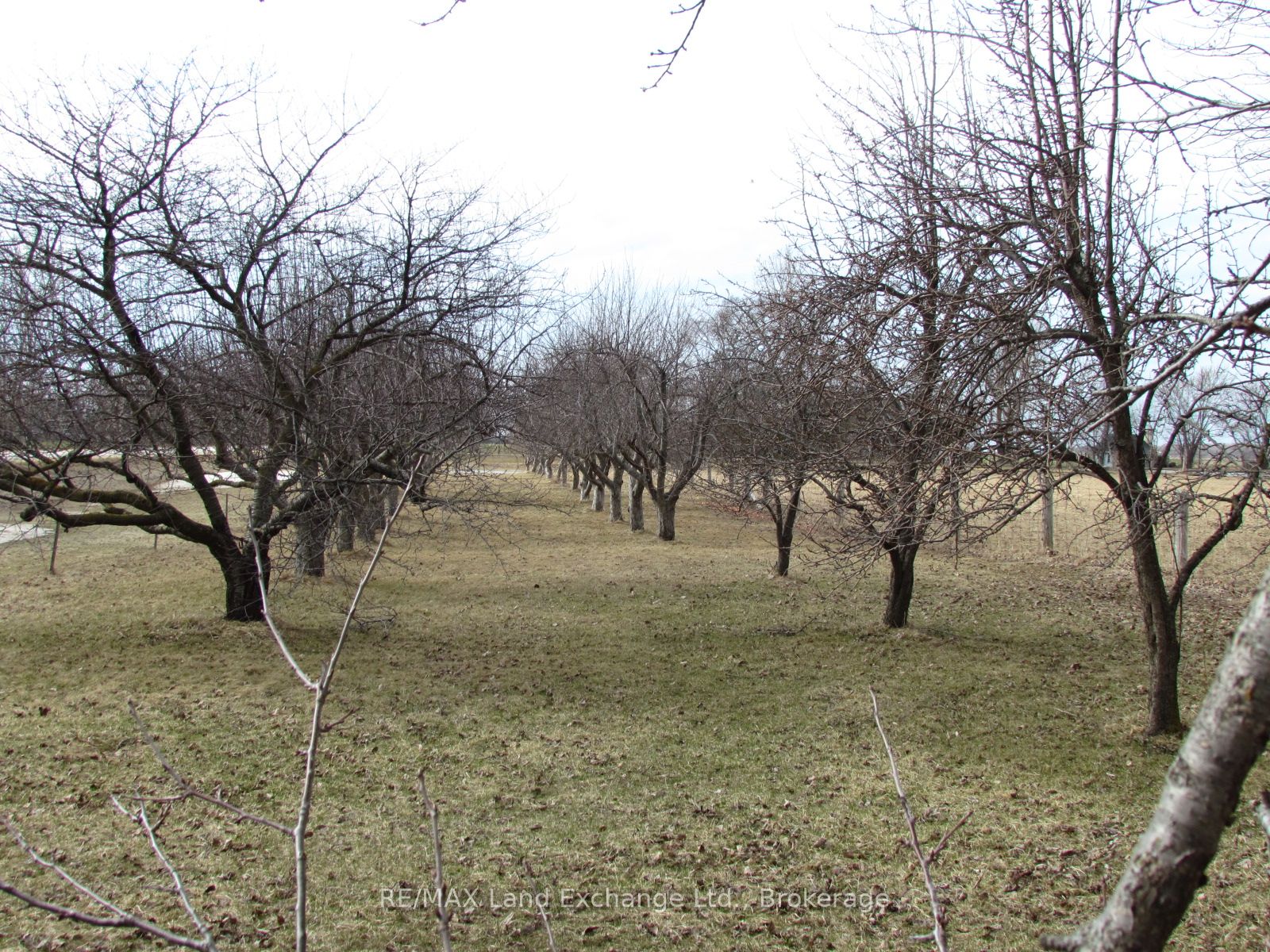 1044 Concession 7 Concession N Property Photo 21