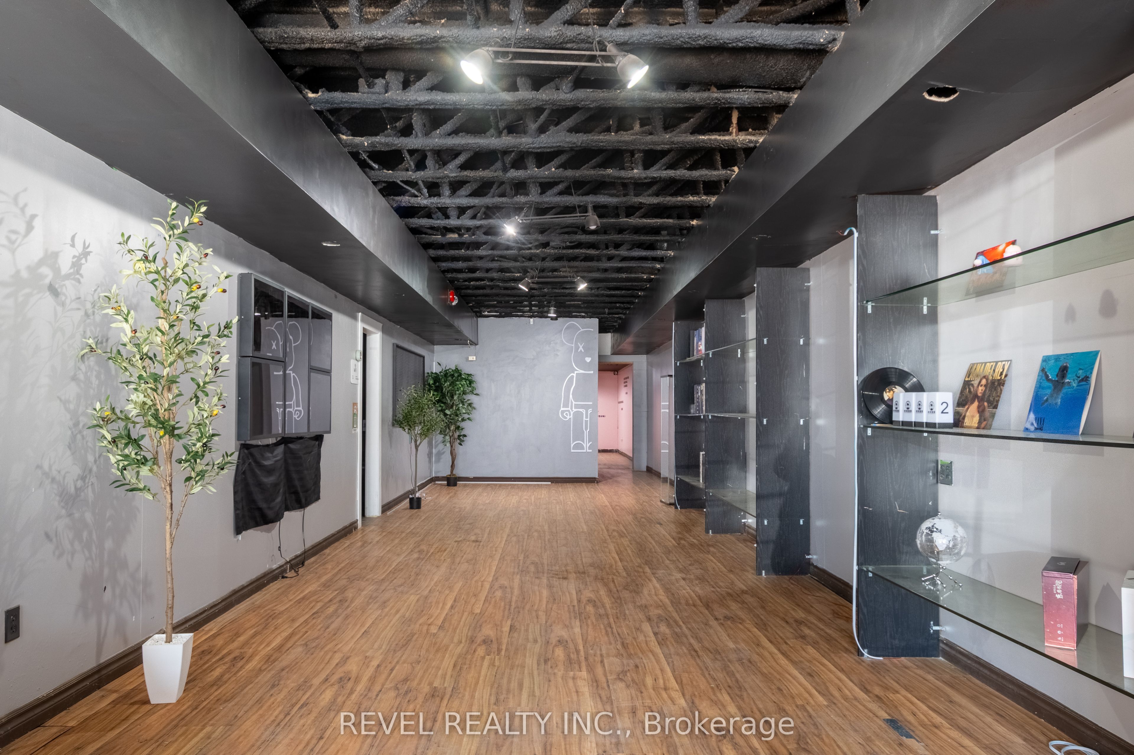 #lower Level - 748 Richmond Street Property Photo 3