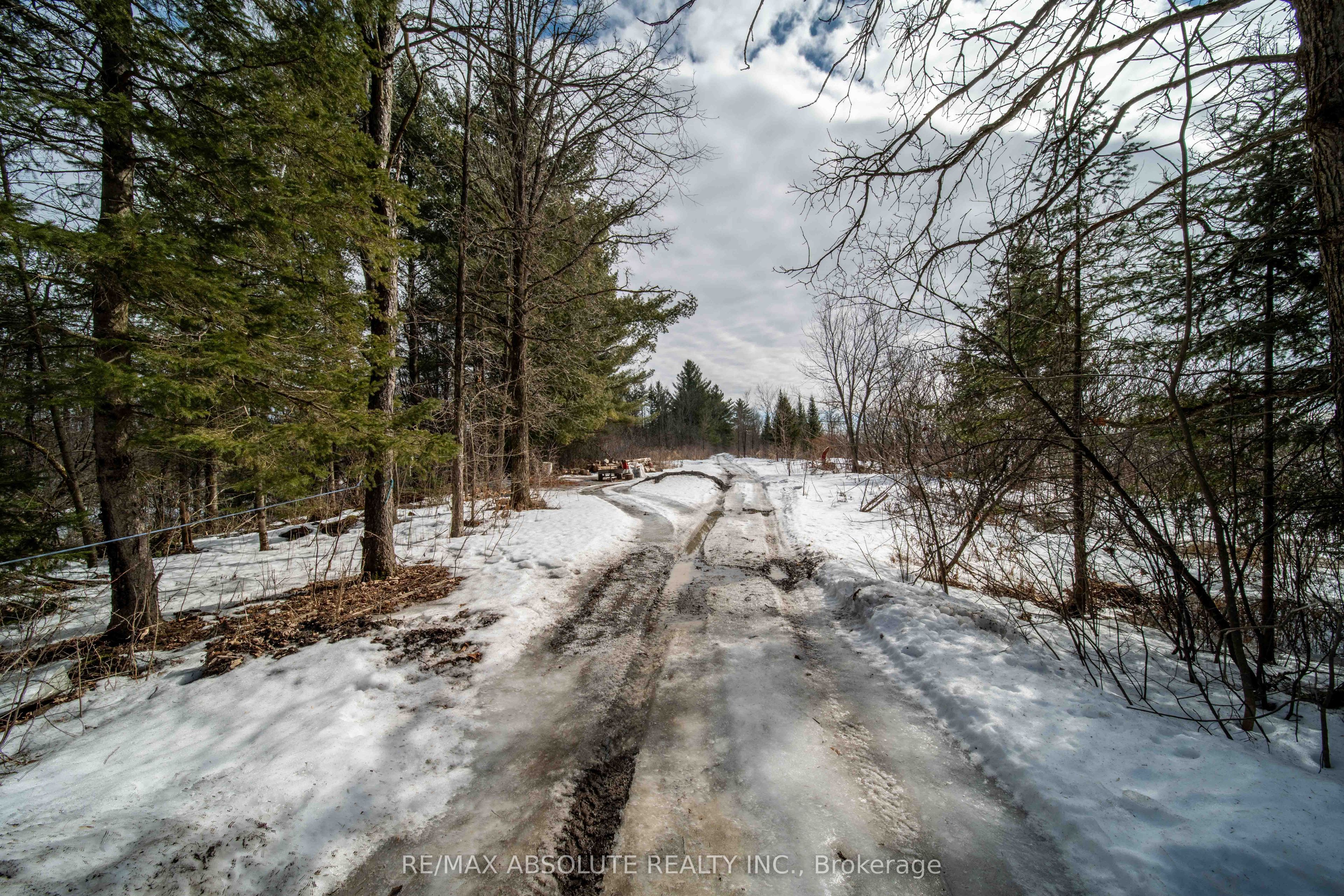 1578 David Road Property Photo 27