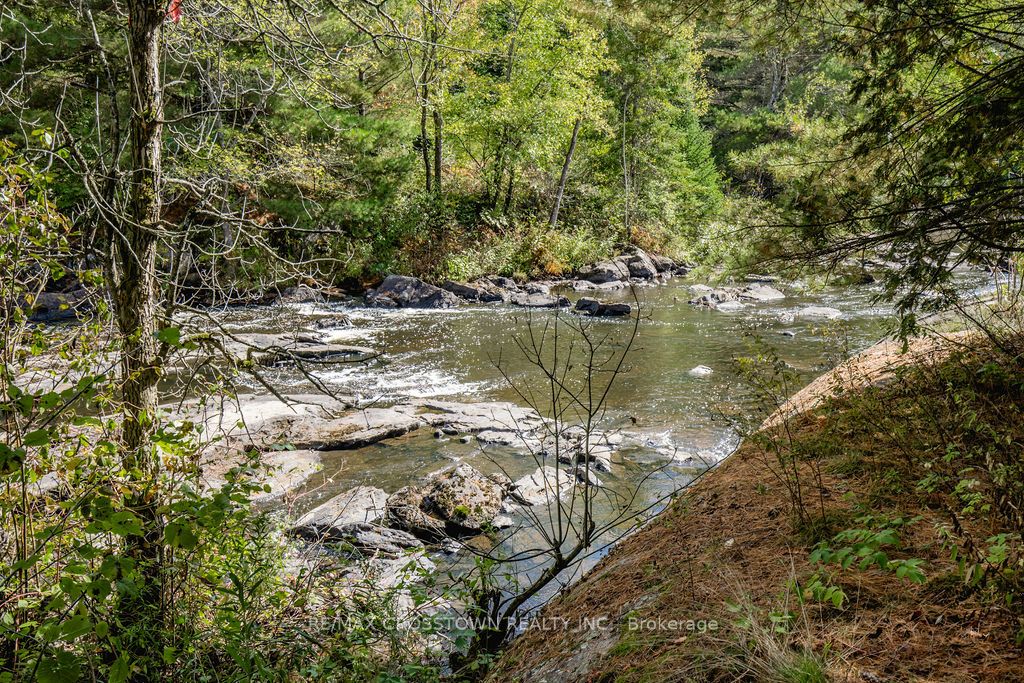 776 Monck Road Property Photo 6