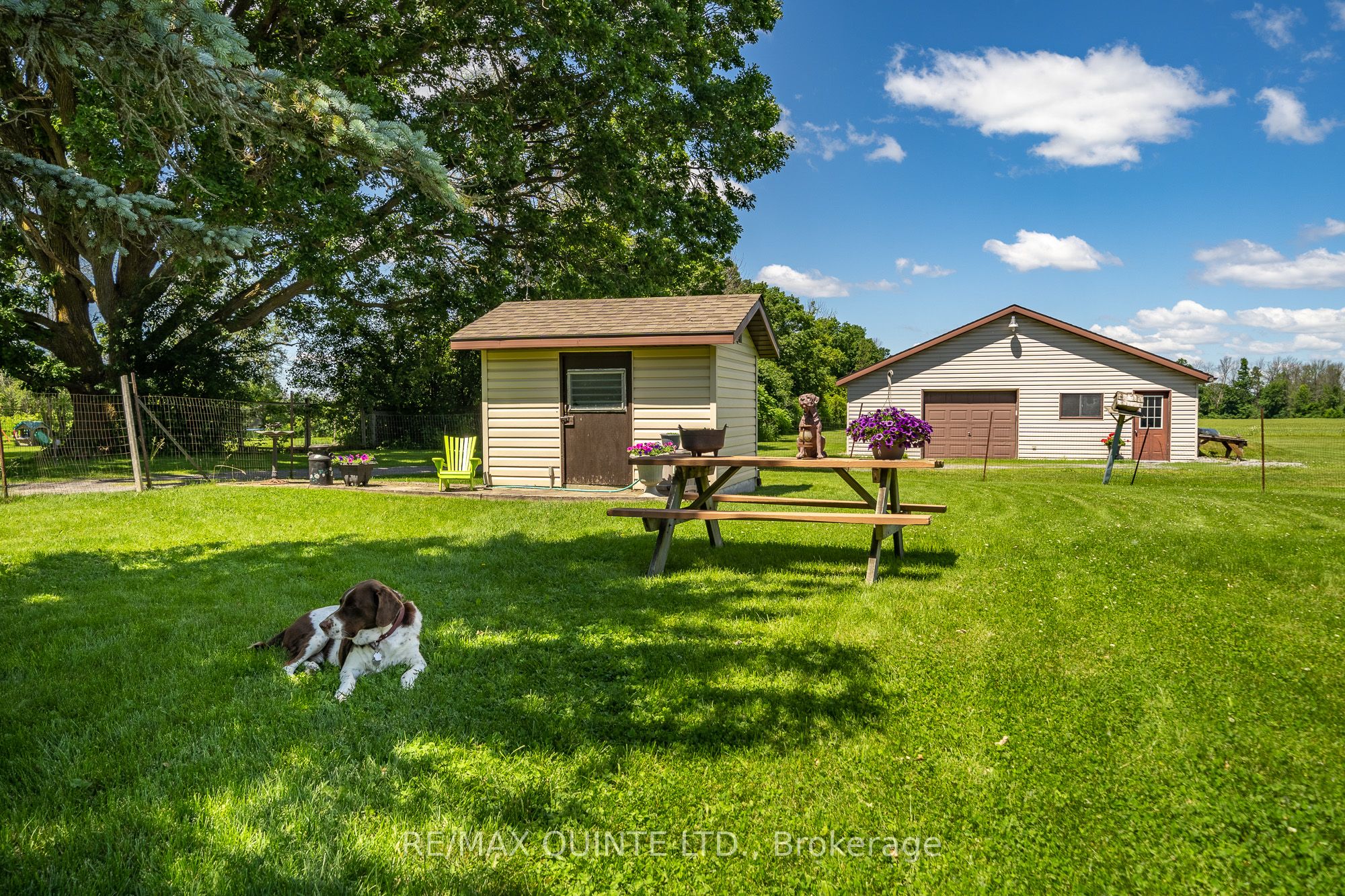 257 Elmbrook Road Property Photo 35