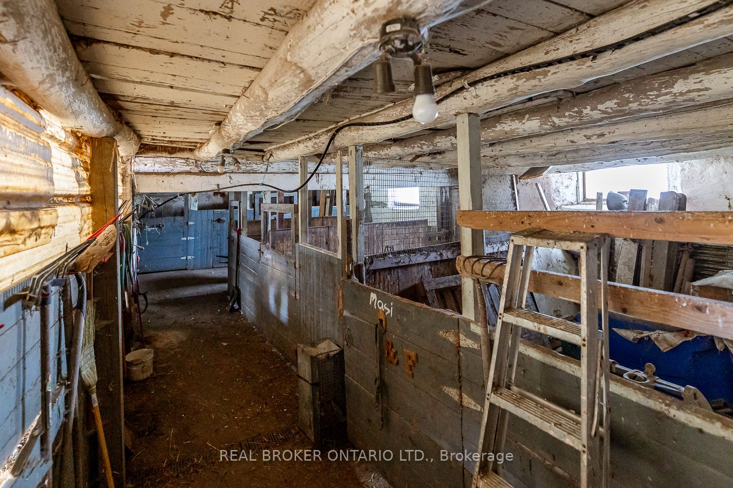 343101 15 Side Road Property Photo 35
