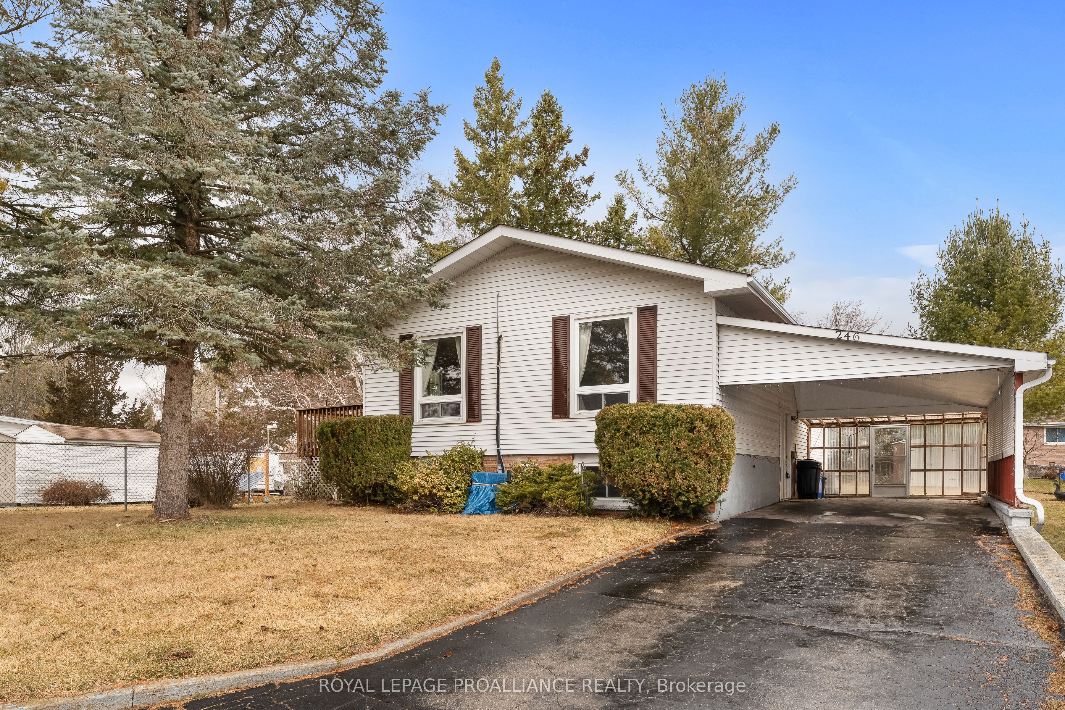 246 Naseby Street Property Photo