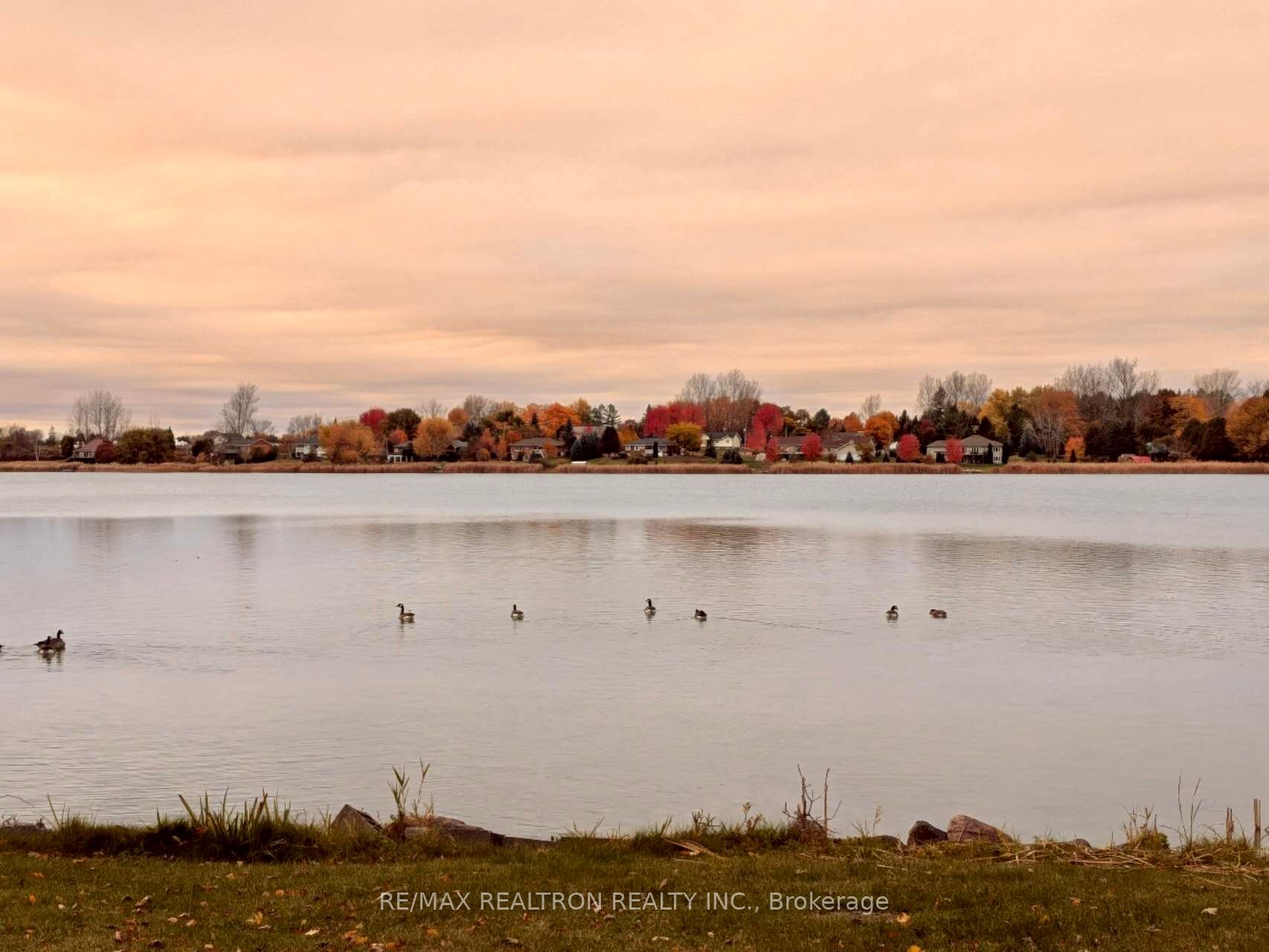 Kawartha Lakes County Real Estate Listings Main Image