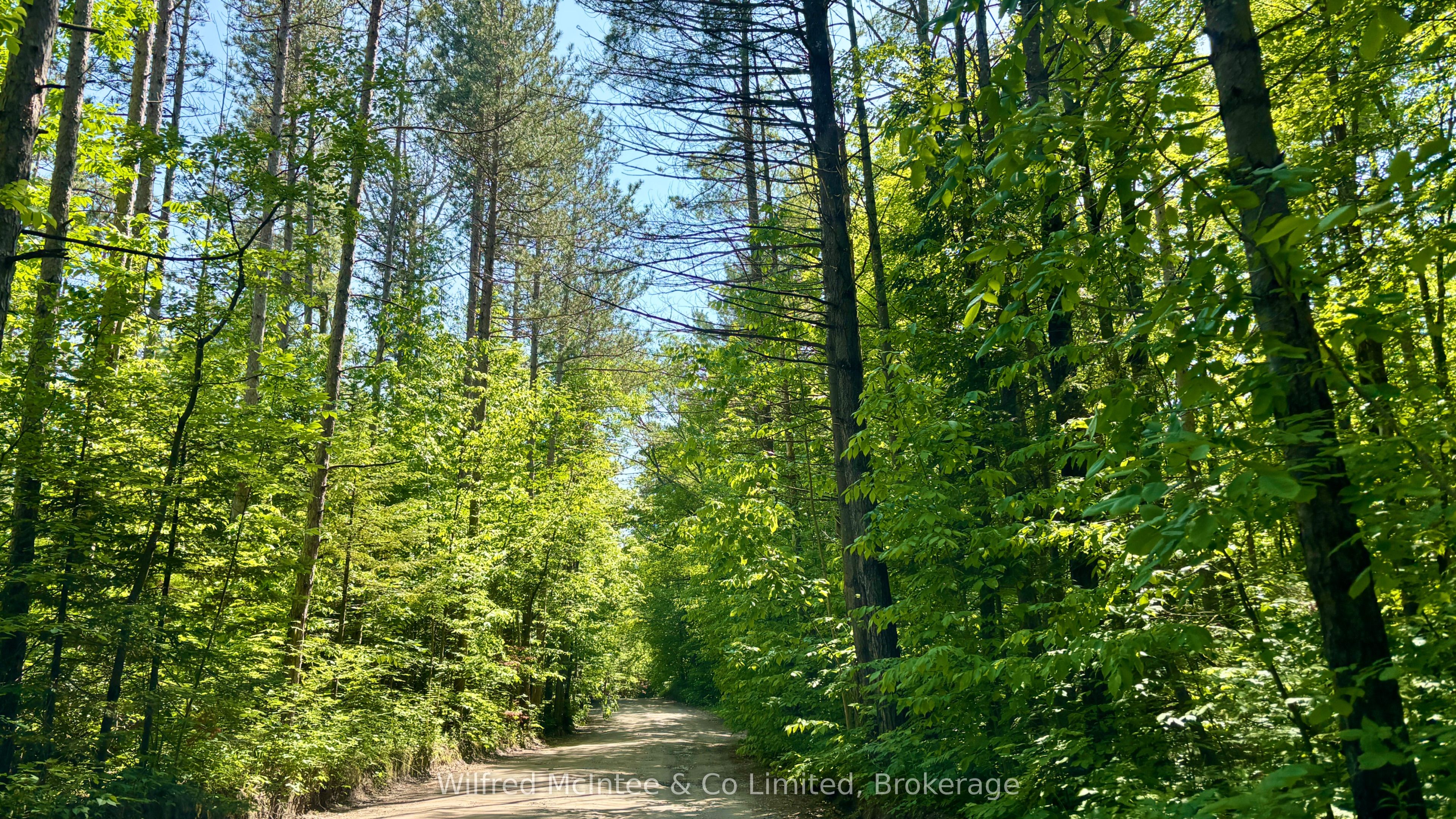 270 Ogimah Road Property Photo 43