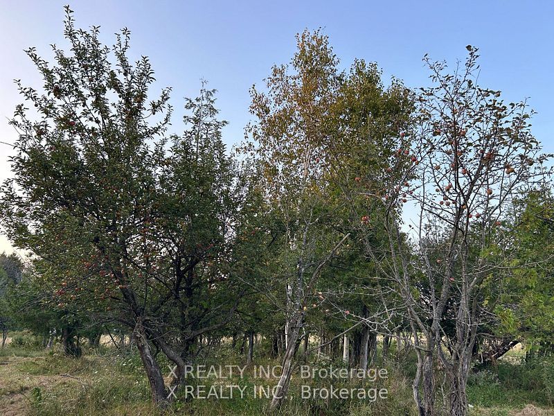 154 Brimley Road S Property Photo 12