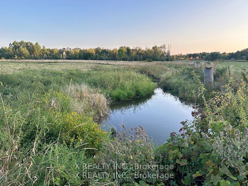 154 Brimley Road S Property Photo 13
