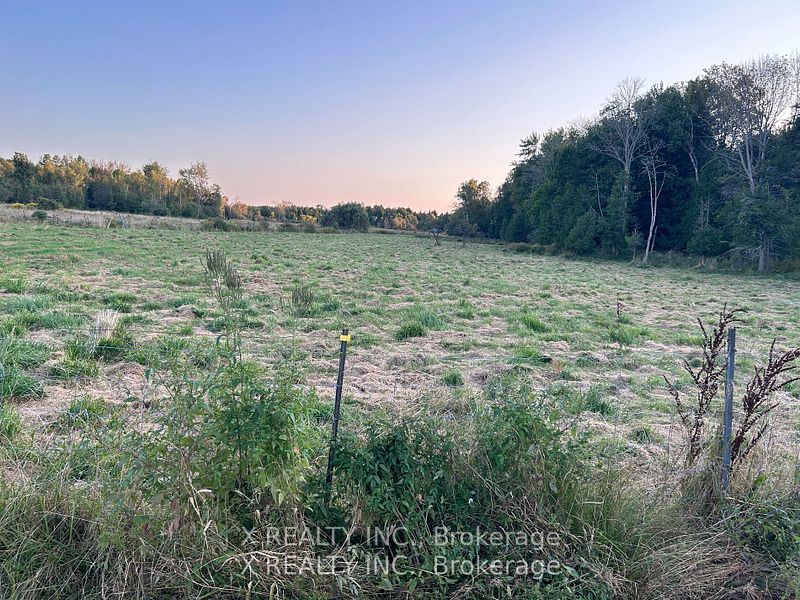 154 Brimley Road S Property Photo 14
