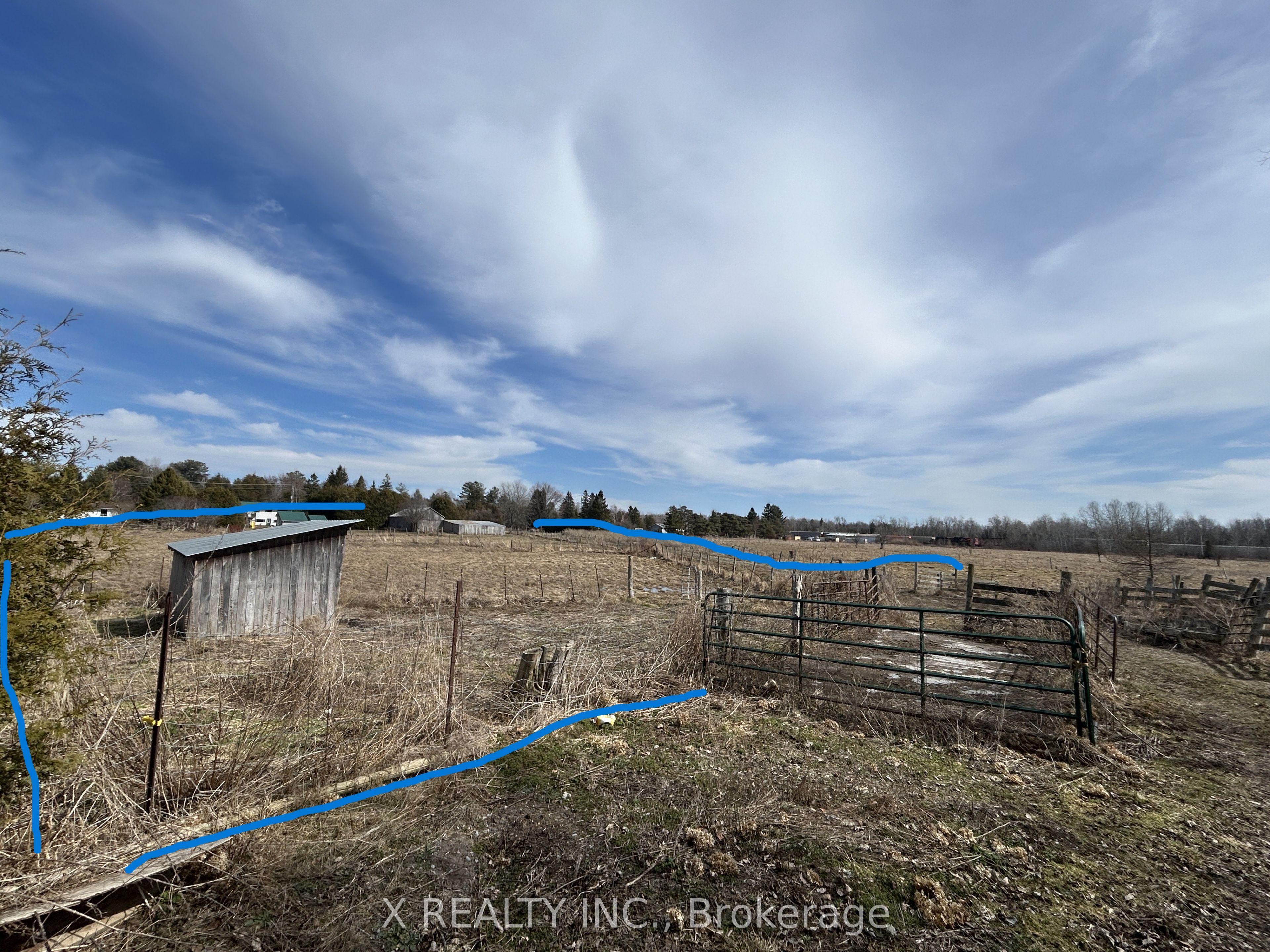 154 Brimley Road S Property Photo 22