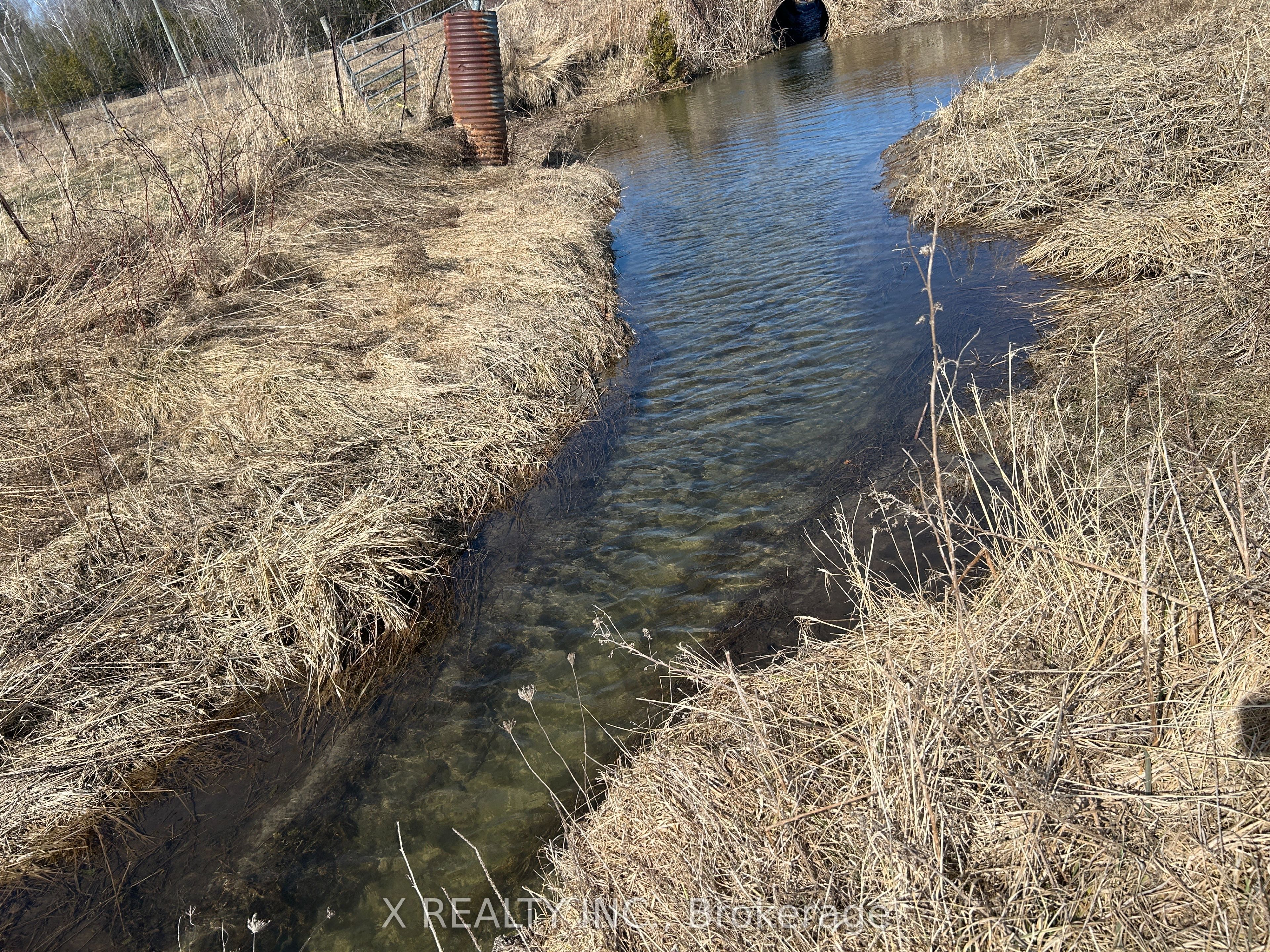 154 Brimley Road S Property Photo 24