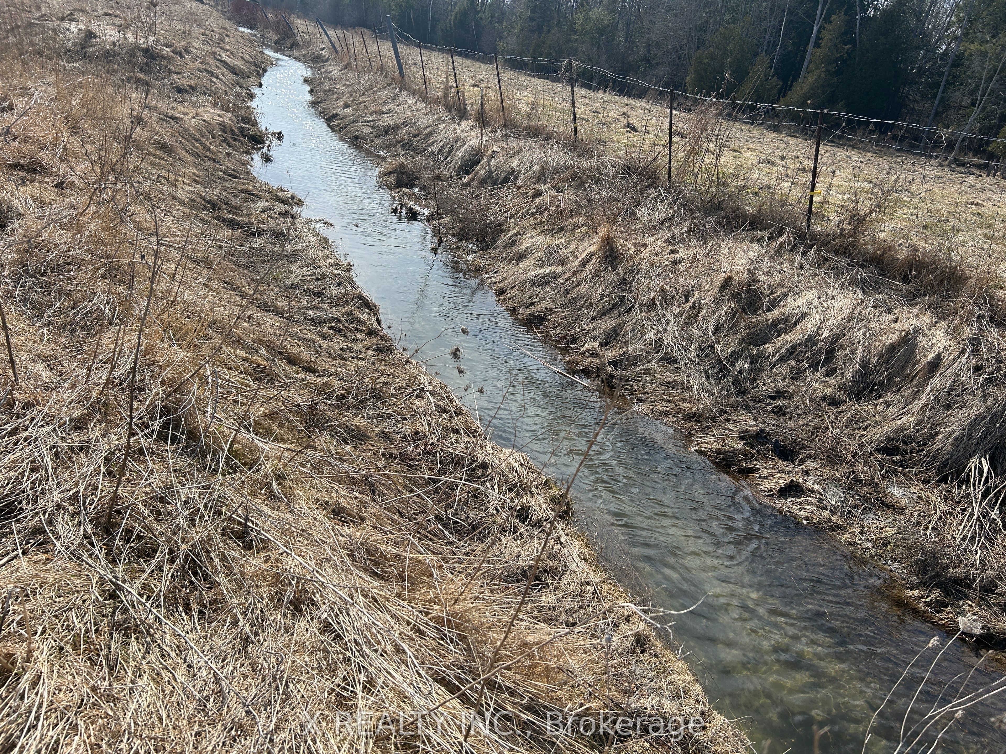 154 Brimley Road S Property Photo 25