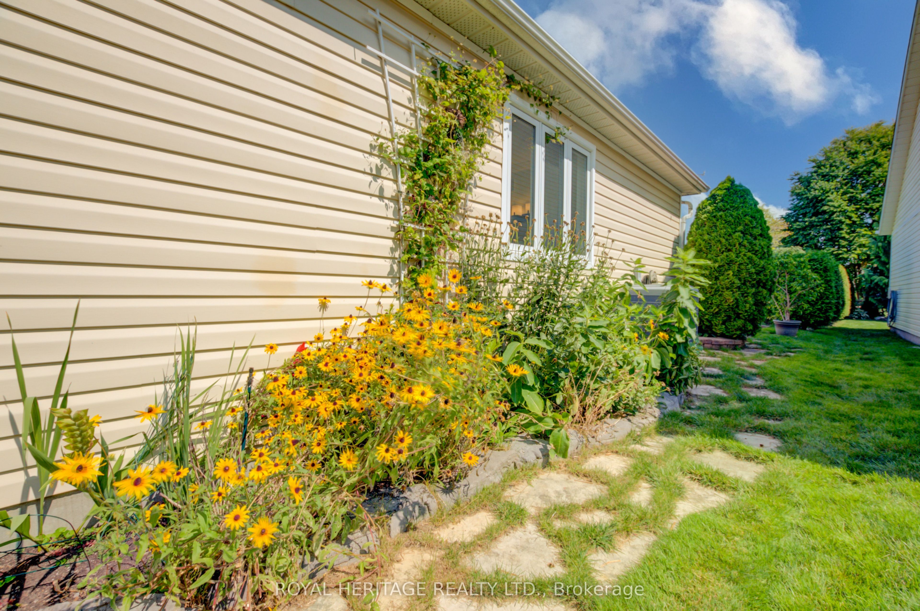 66 Mills Road Property Photo 43