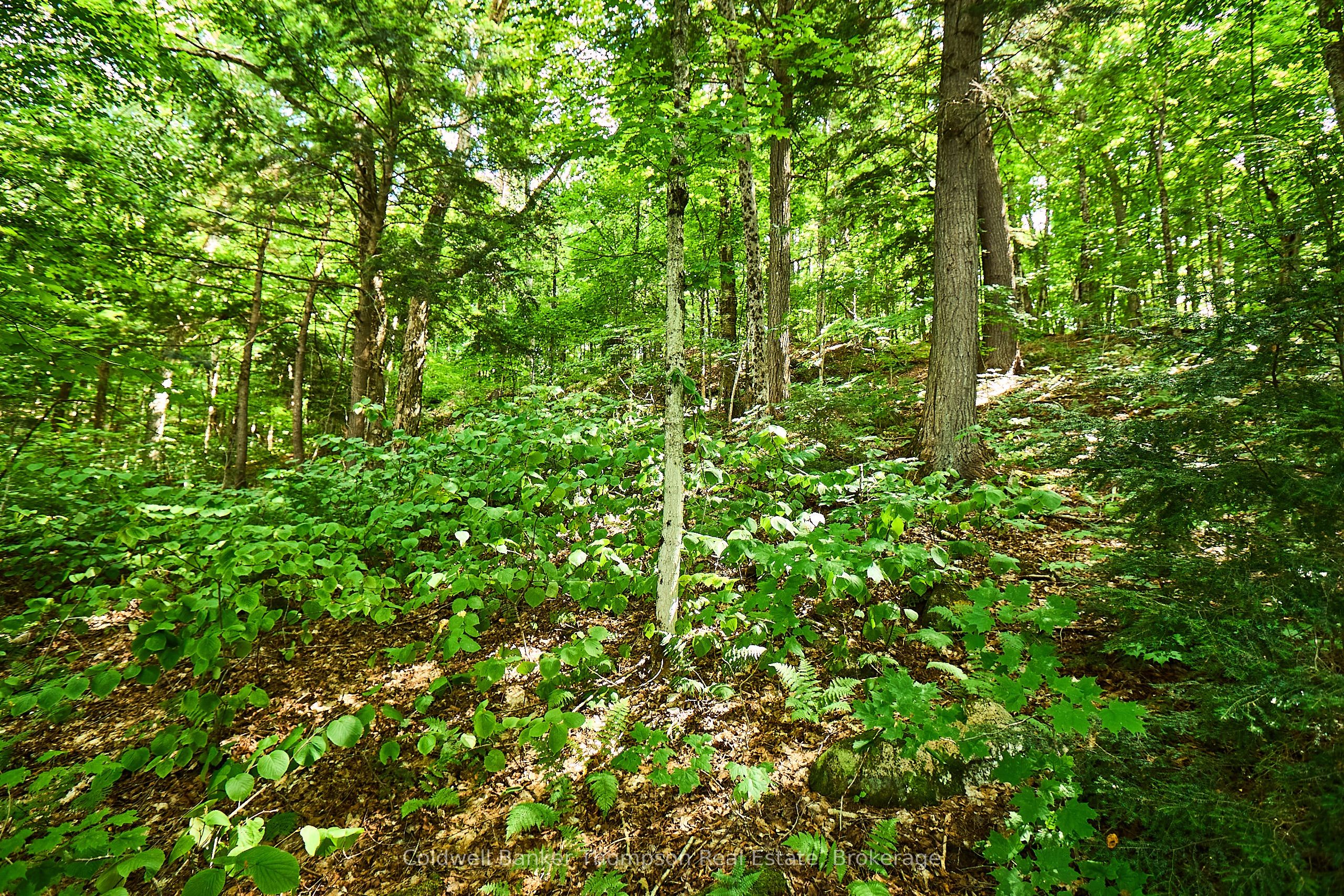 0 So-ho-mish Road Property Photo 28