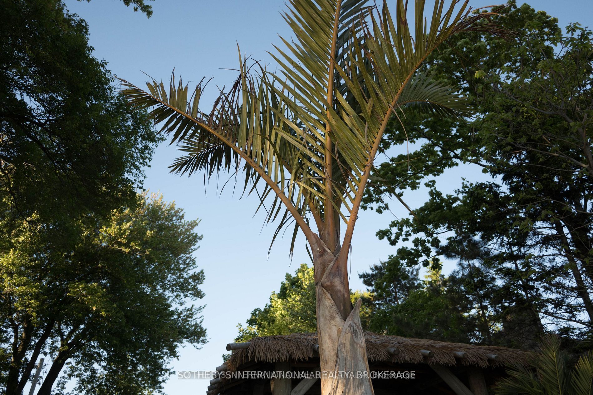 12343 Lakeshore Road Property Photo 24