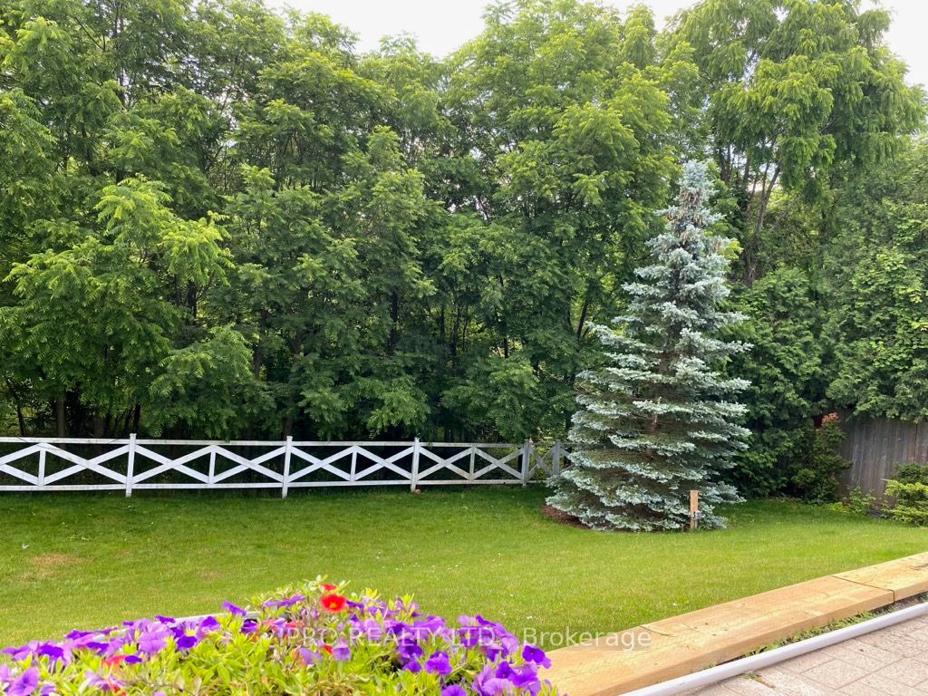 90 Mountain Avenue N Property Photo 33