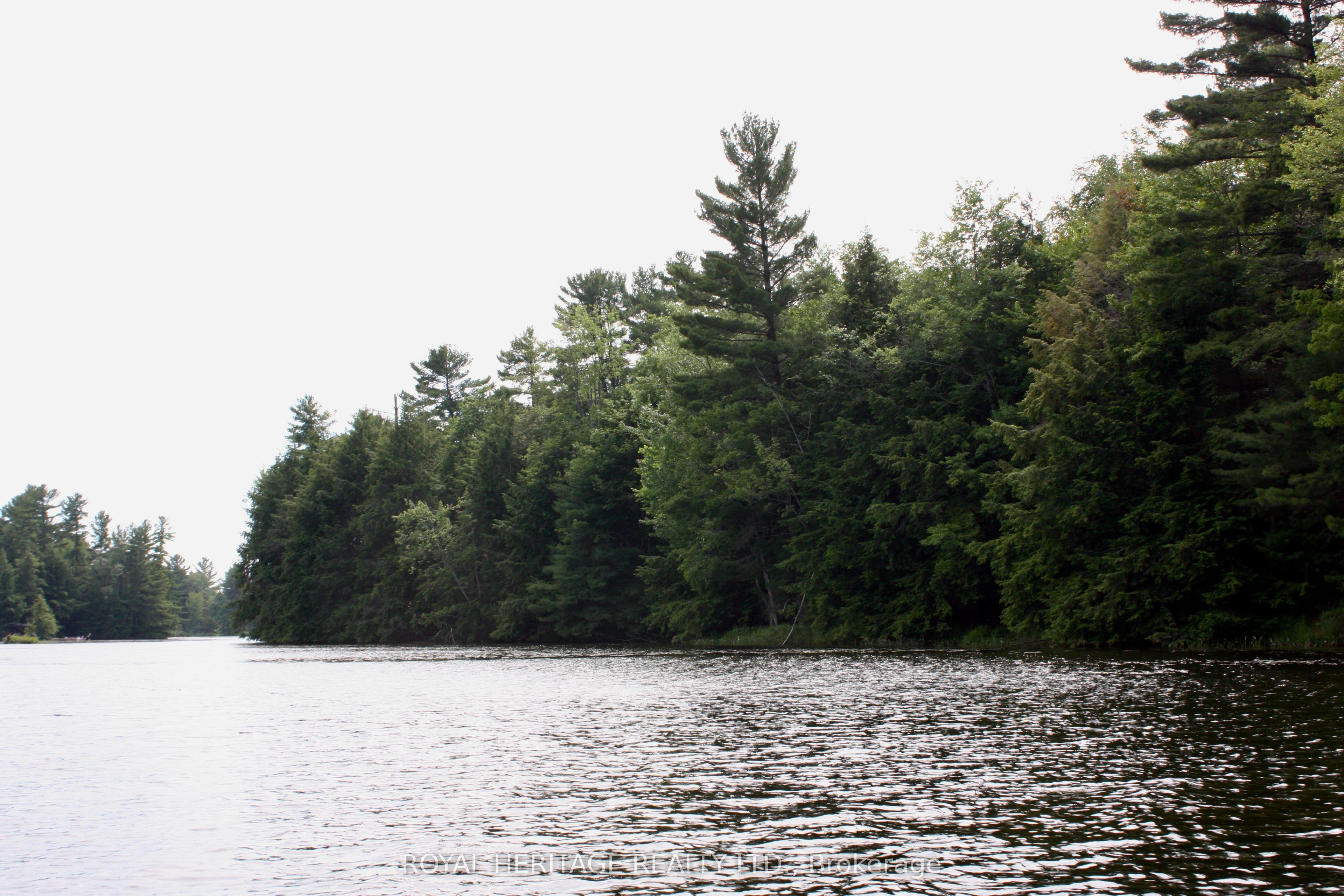 #lot 4 - N/a-wao Kasshabog Lake Property Photo