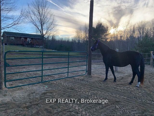 1469 Queensborough Road Property Photo 28