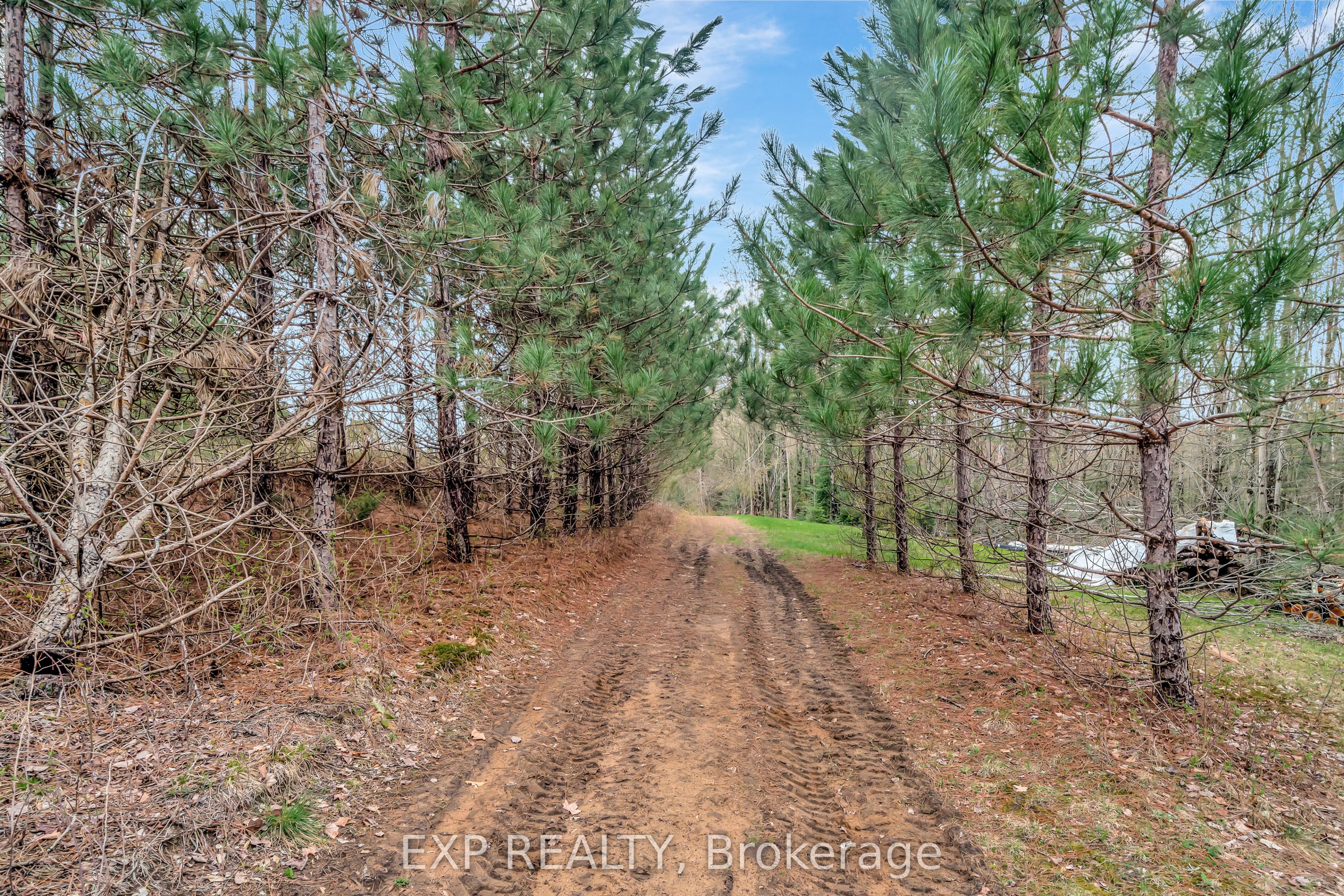 1469 Queensborough Road Property Photo 42