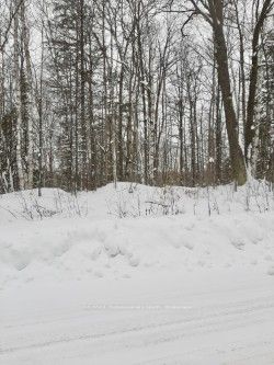 Haliburton County Real Estate Listings Main Image