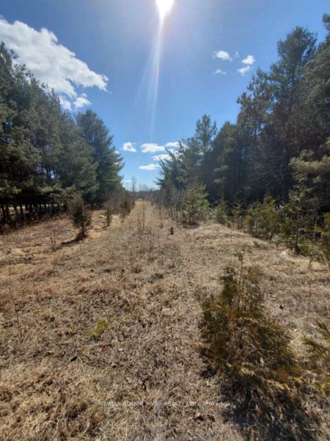 Northumberland County Real Estate Listings Main Image